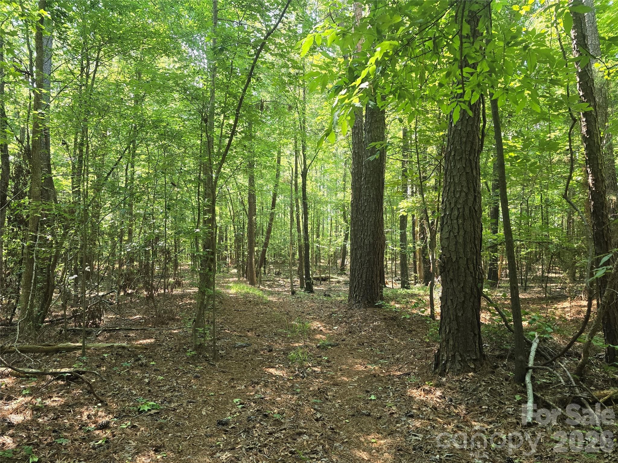 Acreage at 00 Hoke Road, Heath Springs, photo 2 of 7
