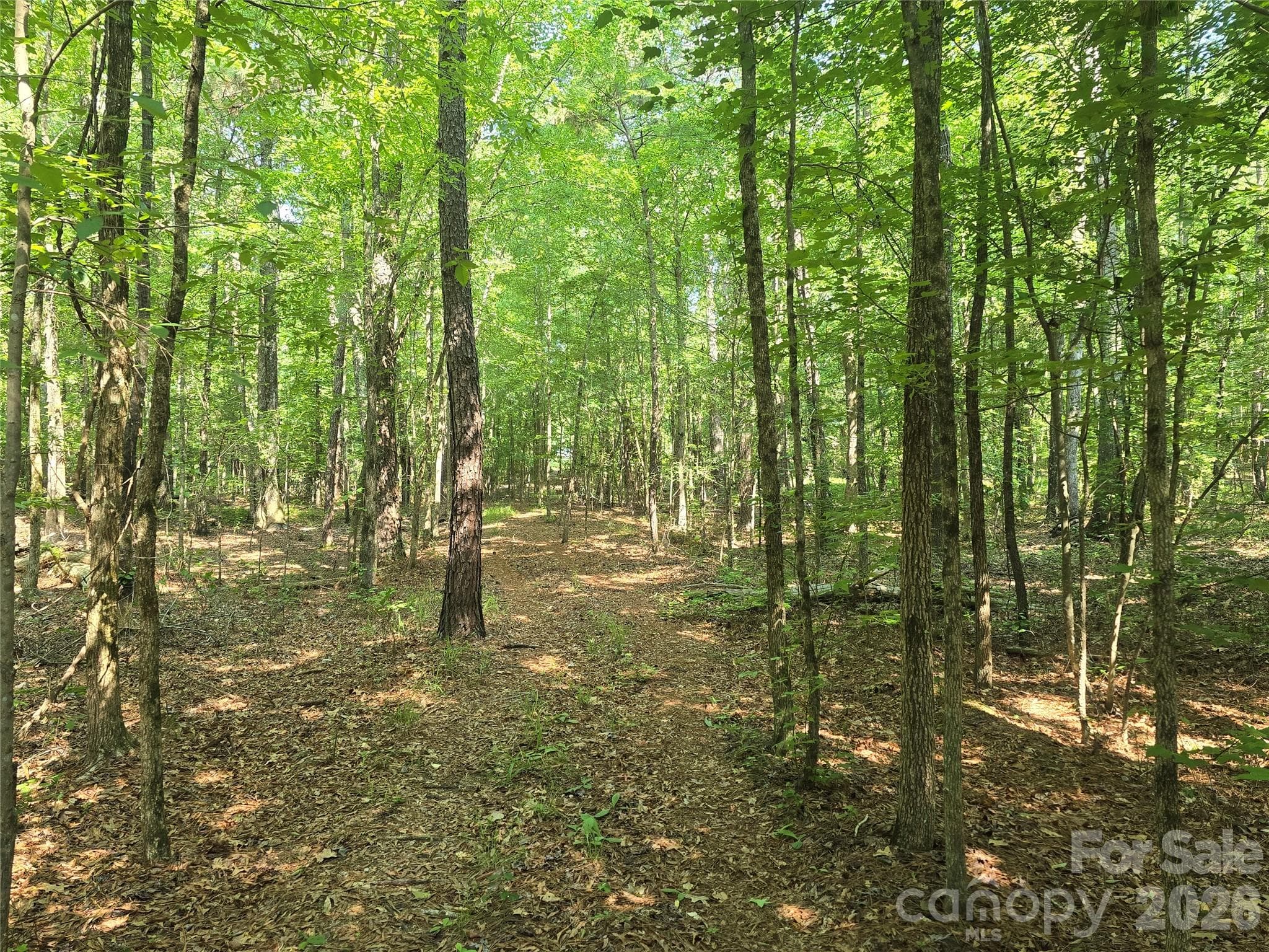 Acreage at 00 Hoke Road, Heath Springs, photo 3 of 7