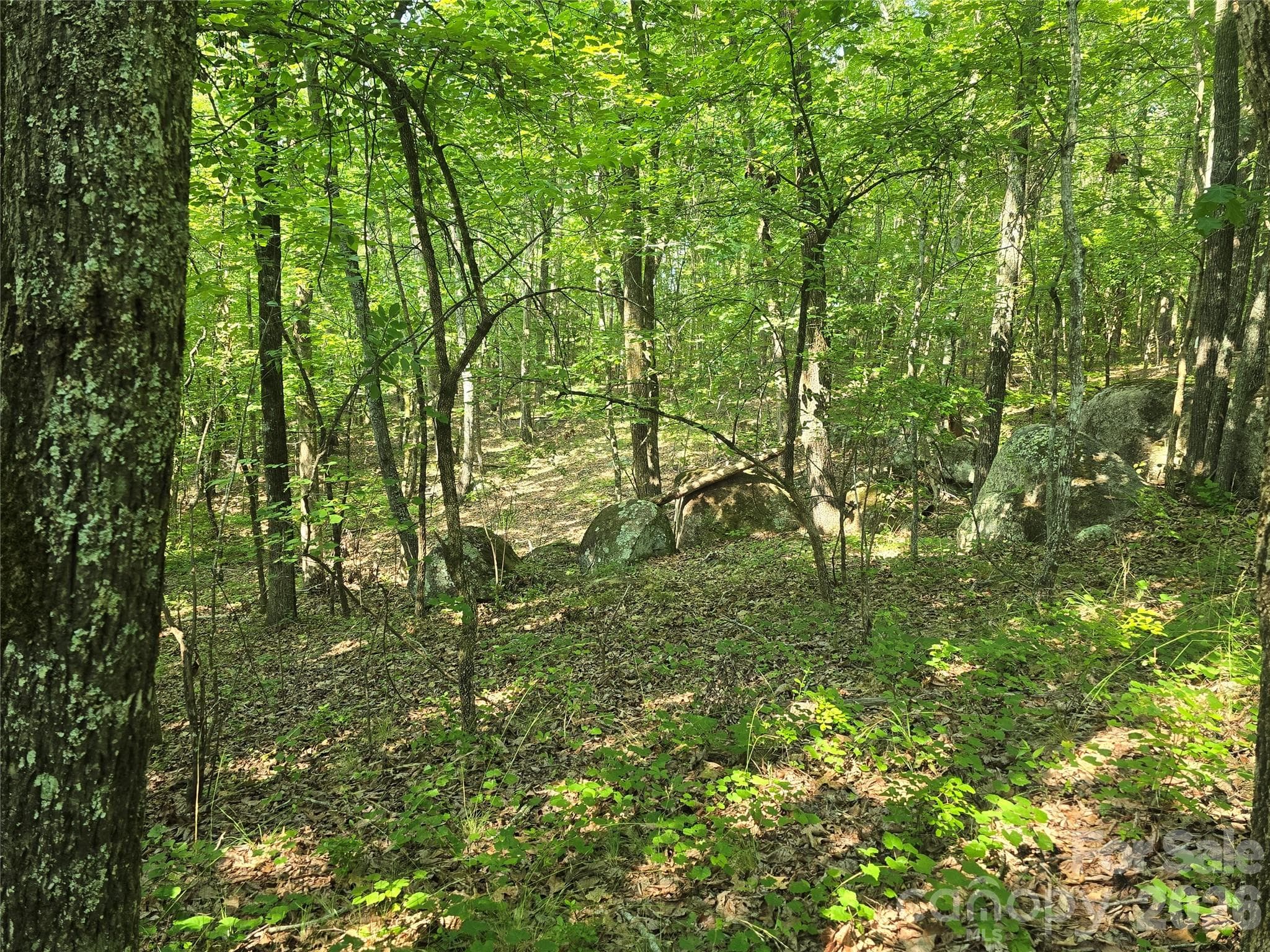 Acreage at 00 Hoke Road, Heath Springs, photo 4 of 7