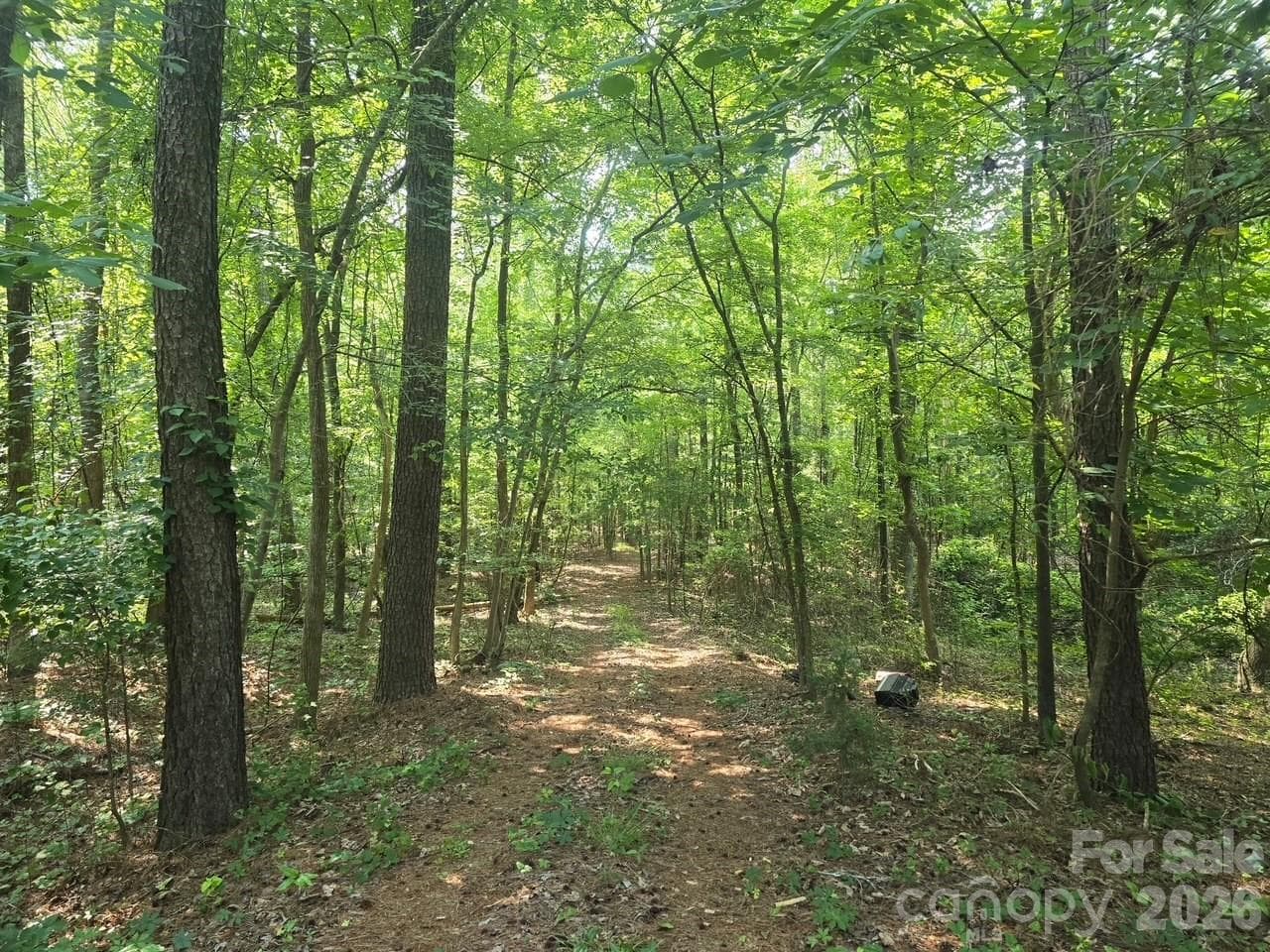 Acreage at 00 Hoke Road, Heath Springs, photo 5 of 7
