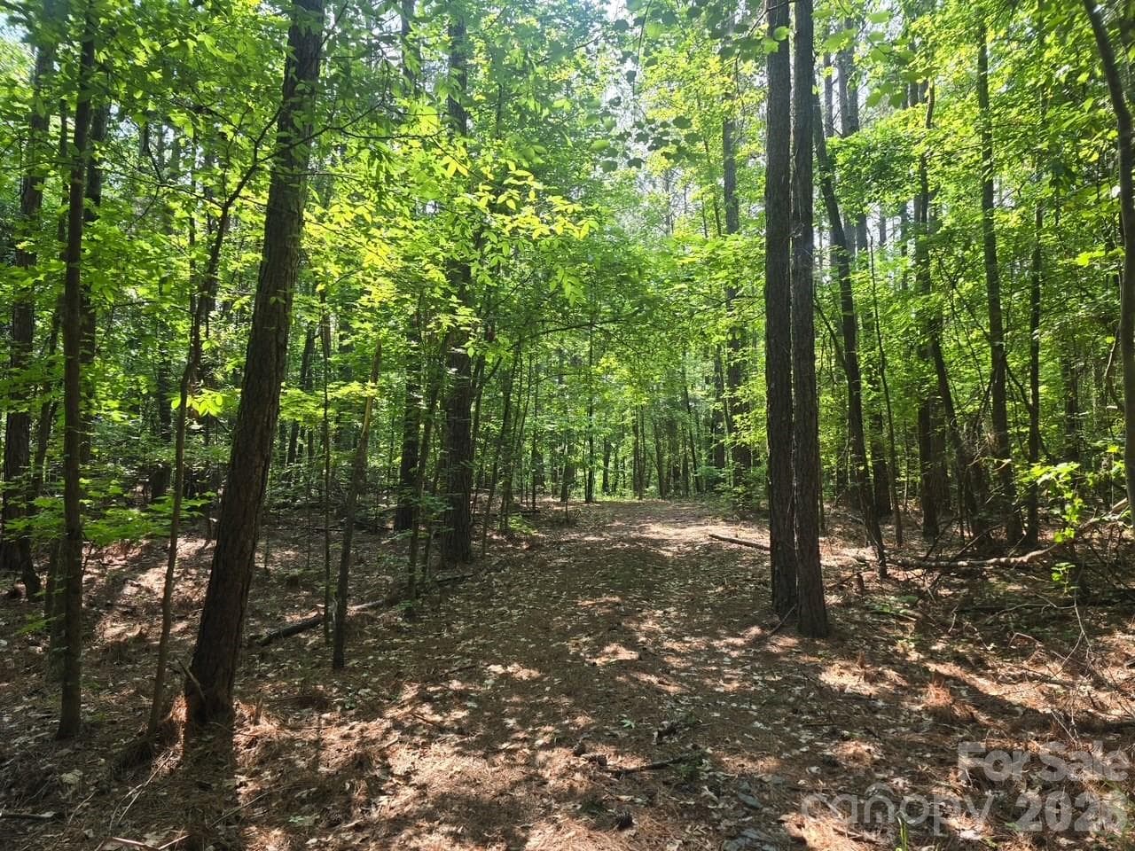 Acreage at 00 Hoke Road, Heath Springs, photo 6 of 7