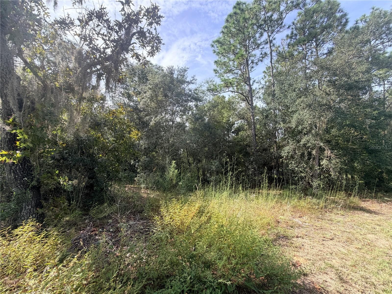 5066 E ANNA JO DR