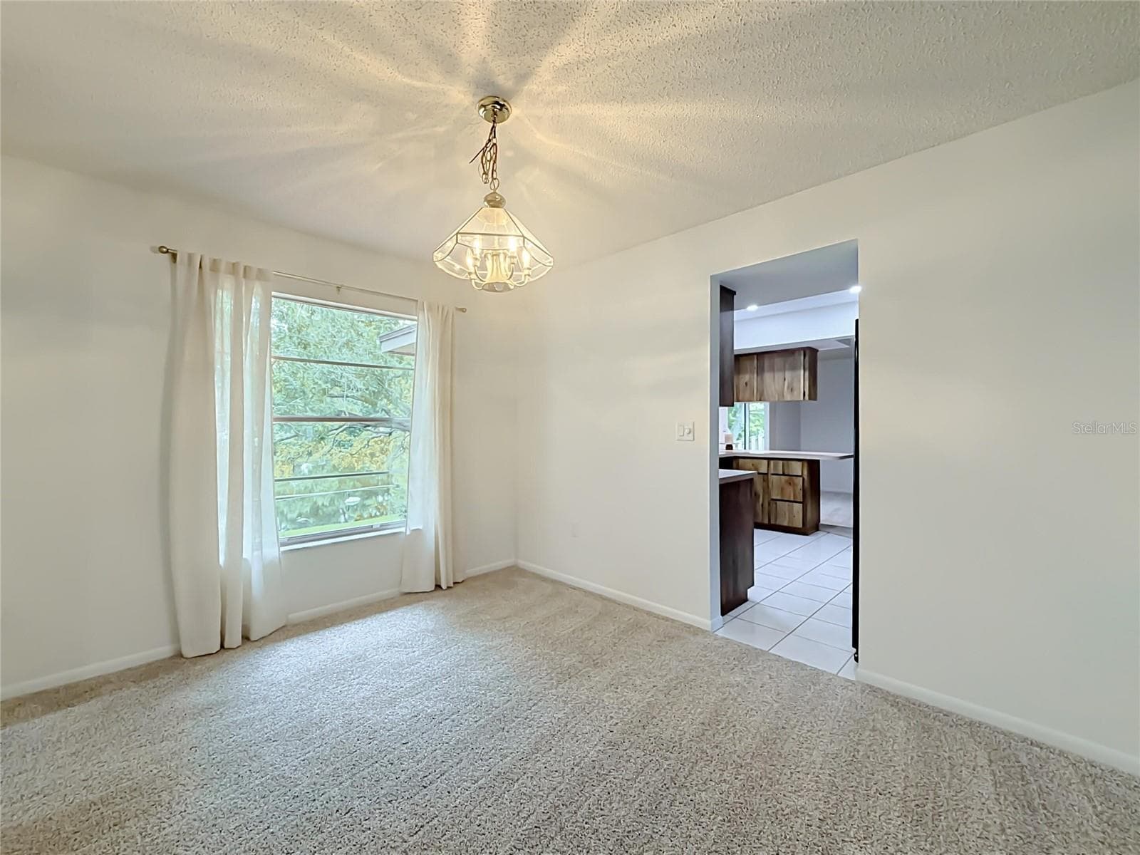 Single Family Residence at 10617 SEMINOLE FOREST ST E, SEMINOLE, photo 10 of 33
