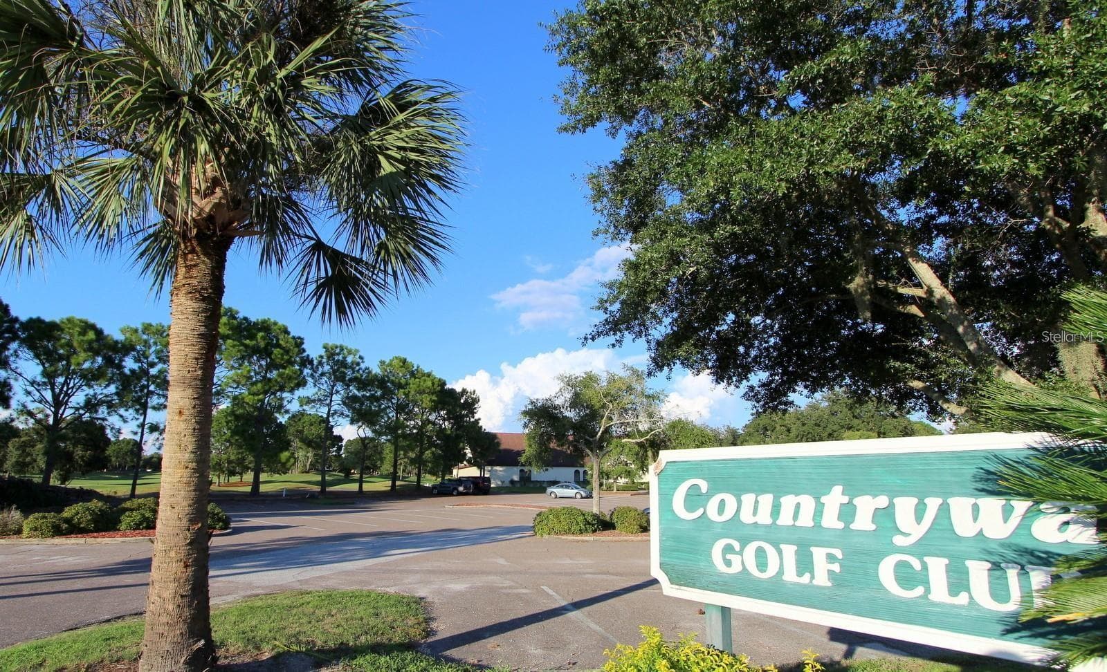 GOLF CLUB - 12005 MISTY BROOK CT, TAMPA