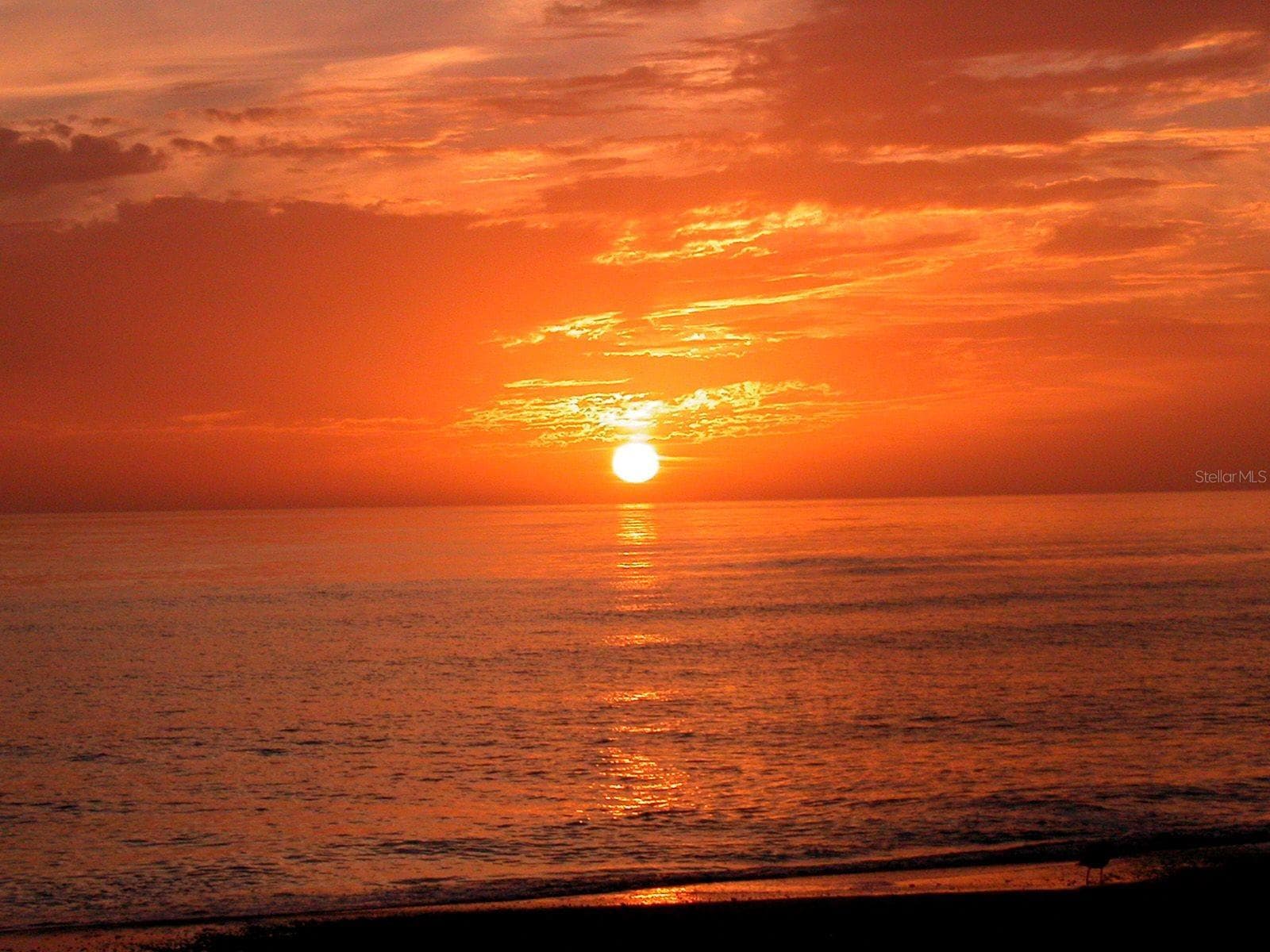 Siesta Key Sunsets - 1229 MOONMIST CIR #P6, SARASOTA