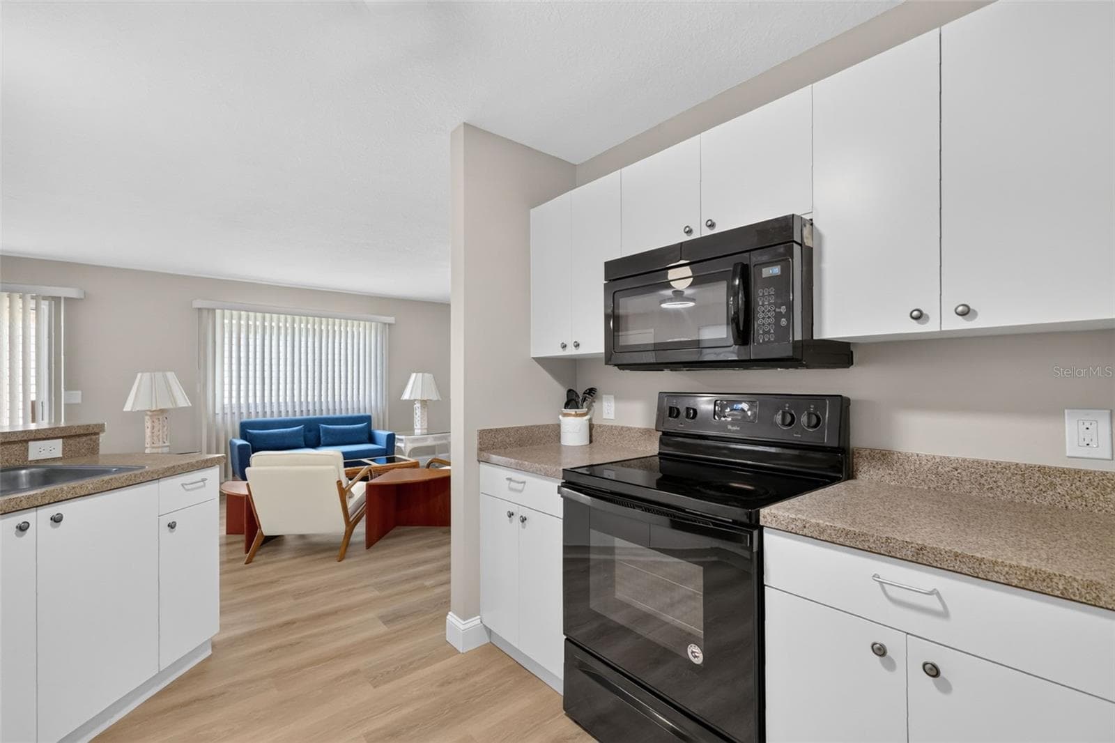 Villa at 1647 DURAN DR, THE VILLAGES, photo 13 of 35