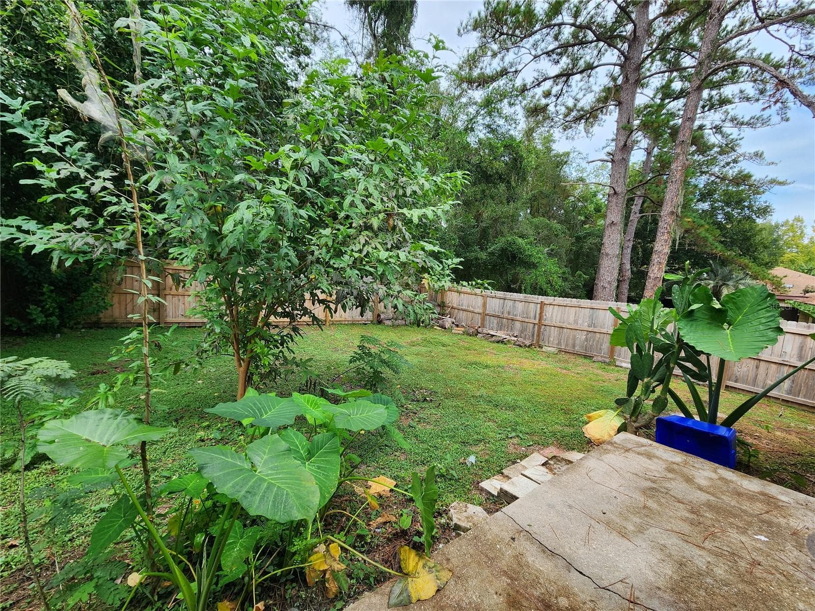 Half Duplex at 3020 NW 79 CT #B, GAINESVILLE, photo 41 of 44