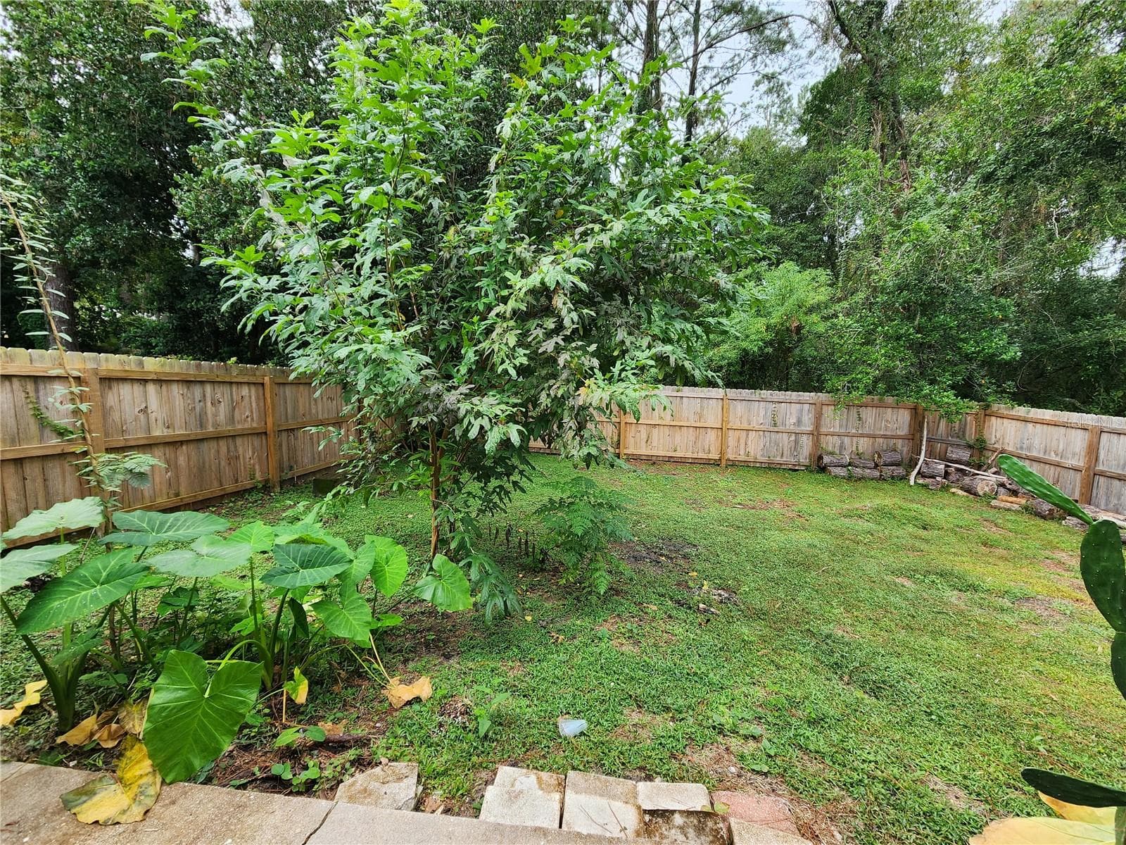 Half Duplex at 3020 NW 79 CT #B, GAINESVILLE, photo 43 of 44
