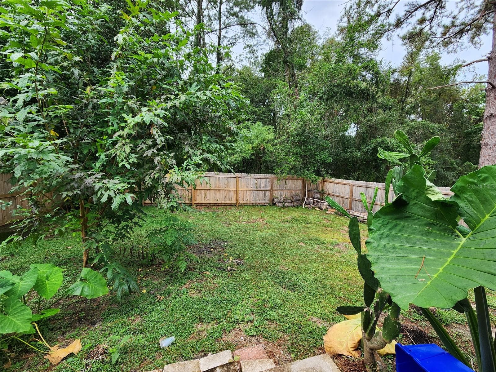 Half Duplex at 3020 NW 79 CT #B, GAINESVILLE, photo 44 of 44
