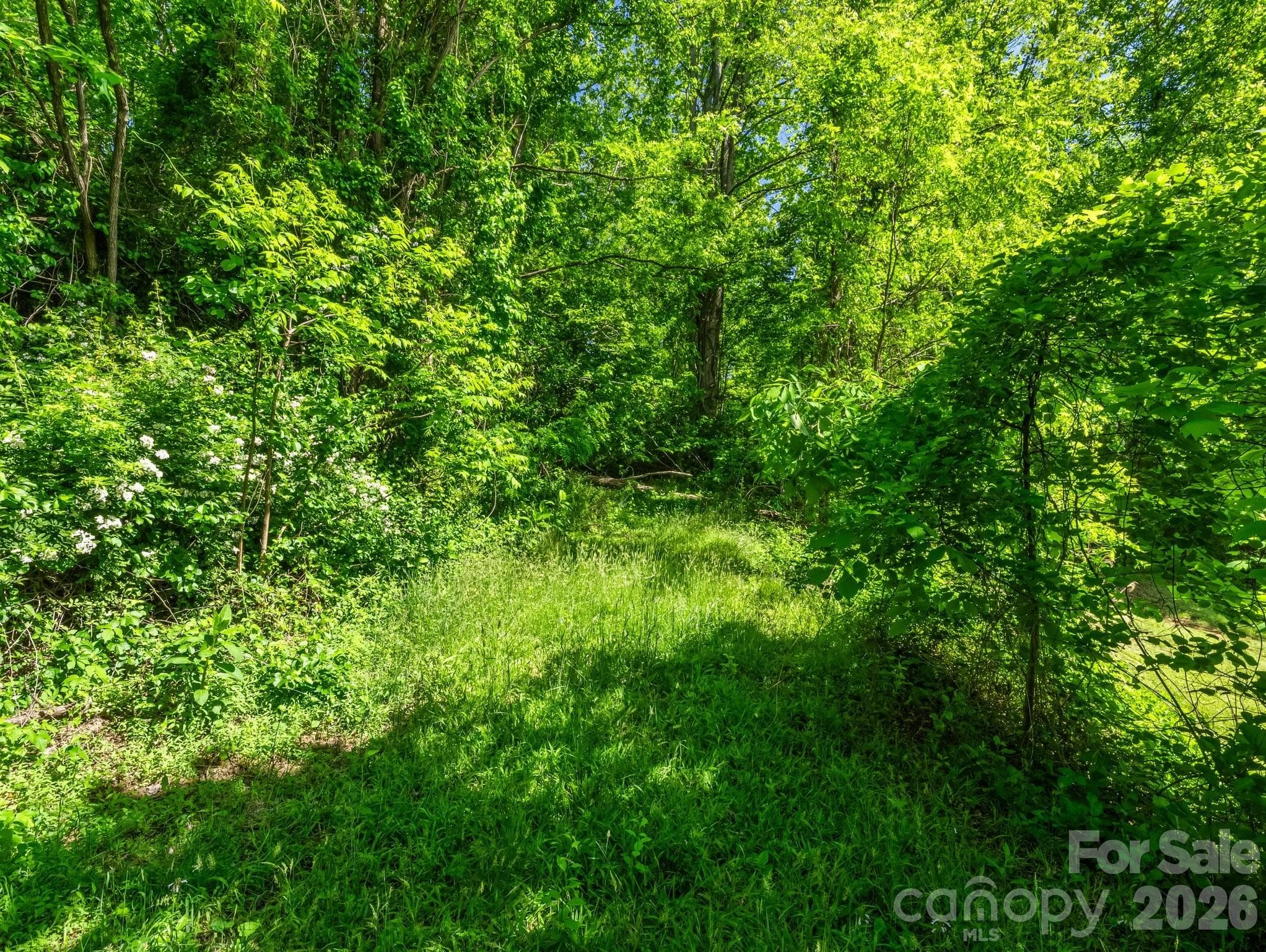 Lot at Hendersonville, photo 6 of 52