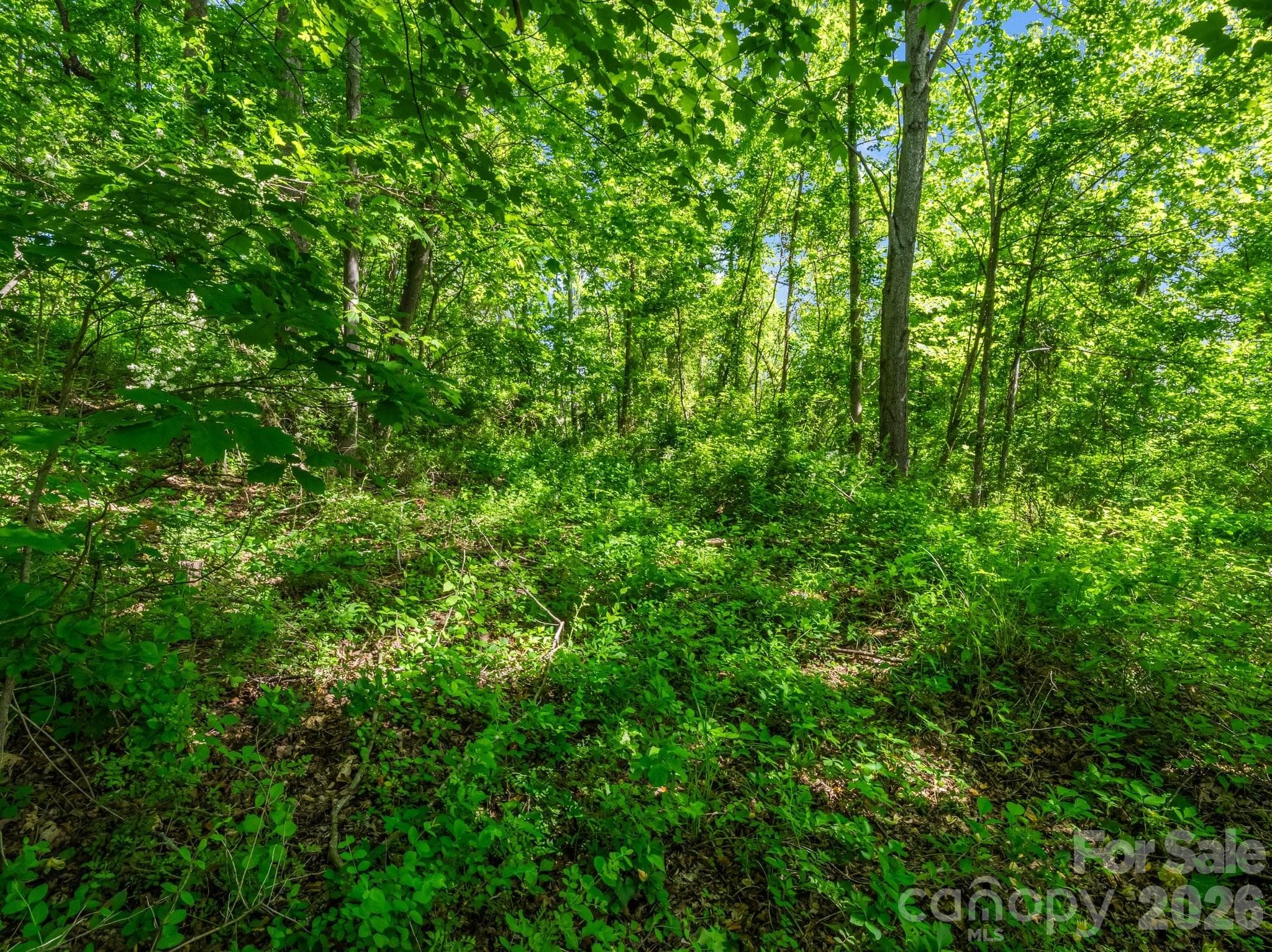 Lot at Hendersonville, photo 8 of 52