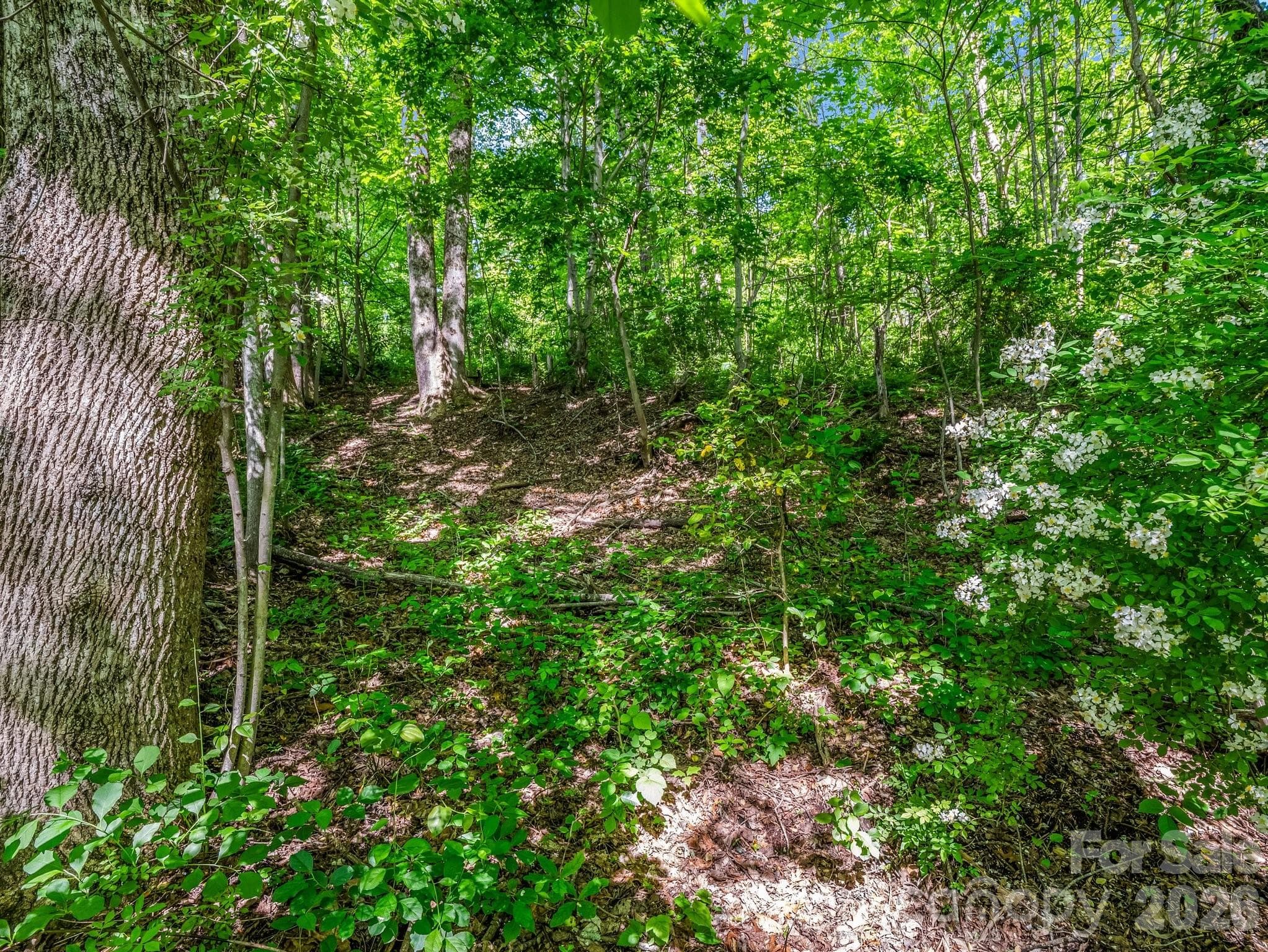 Lot at Hendersonville, photo 10 of 52