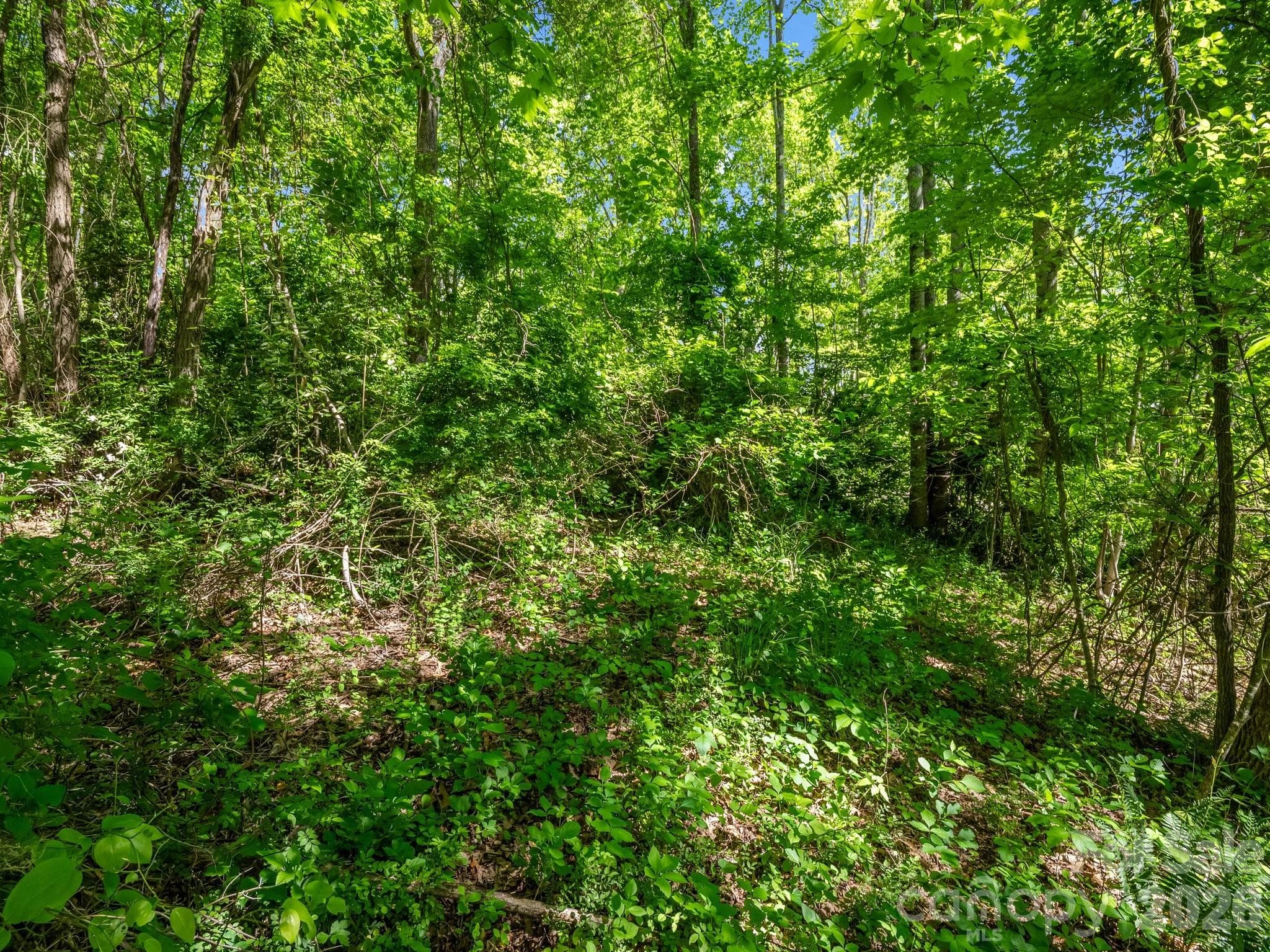 Lot at Hendersonville, photo 12 of 52