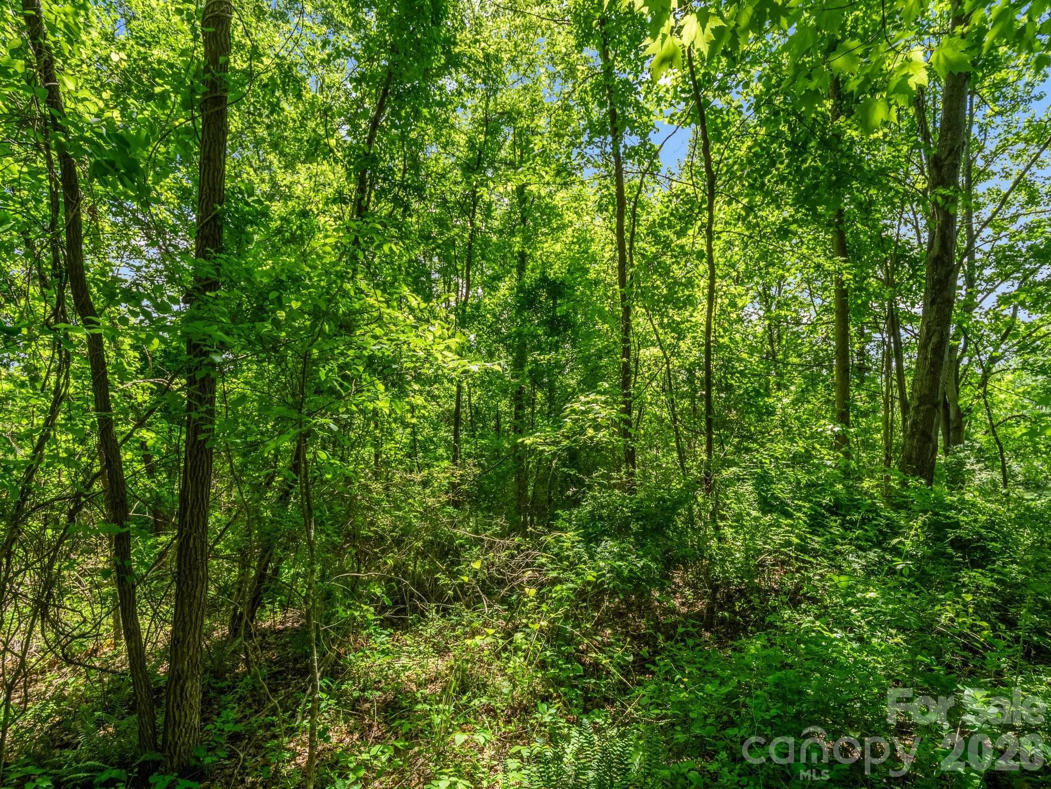 Lot at Hendersonville, photo 14 of 52