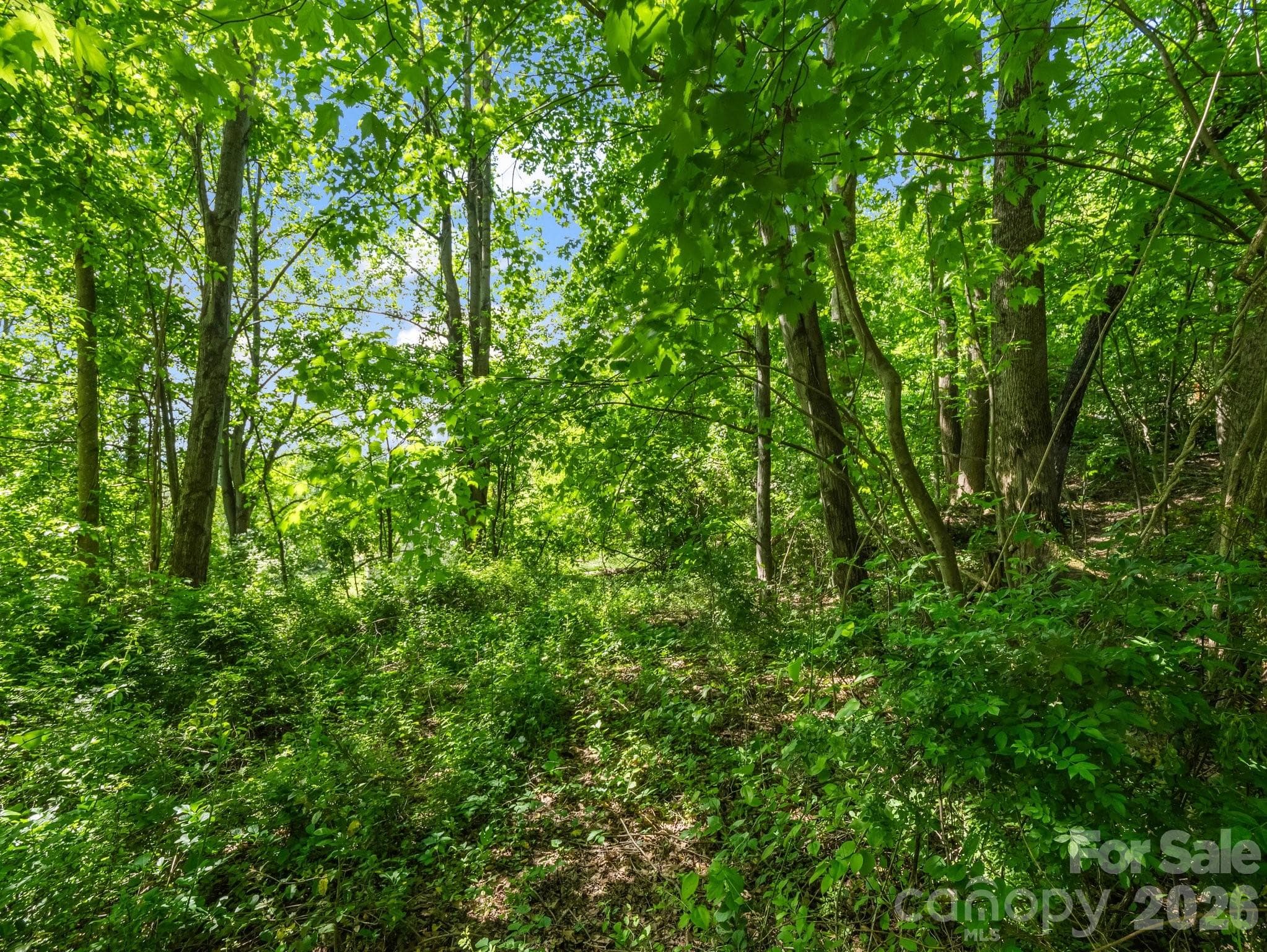 Lot at Hendersonville, photo 16 of 52