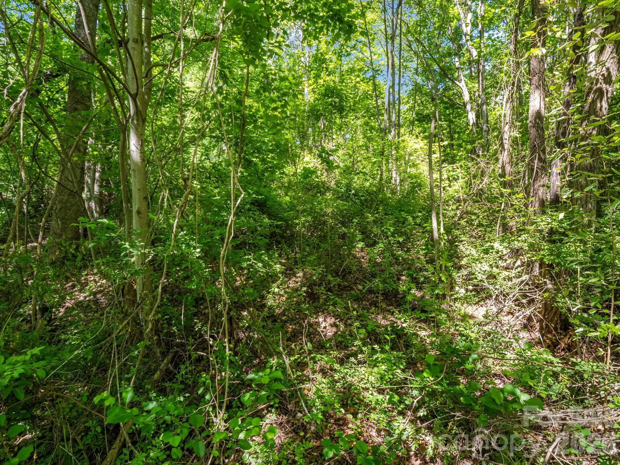 Lot at Hendersonville, photo 18 of 52