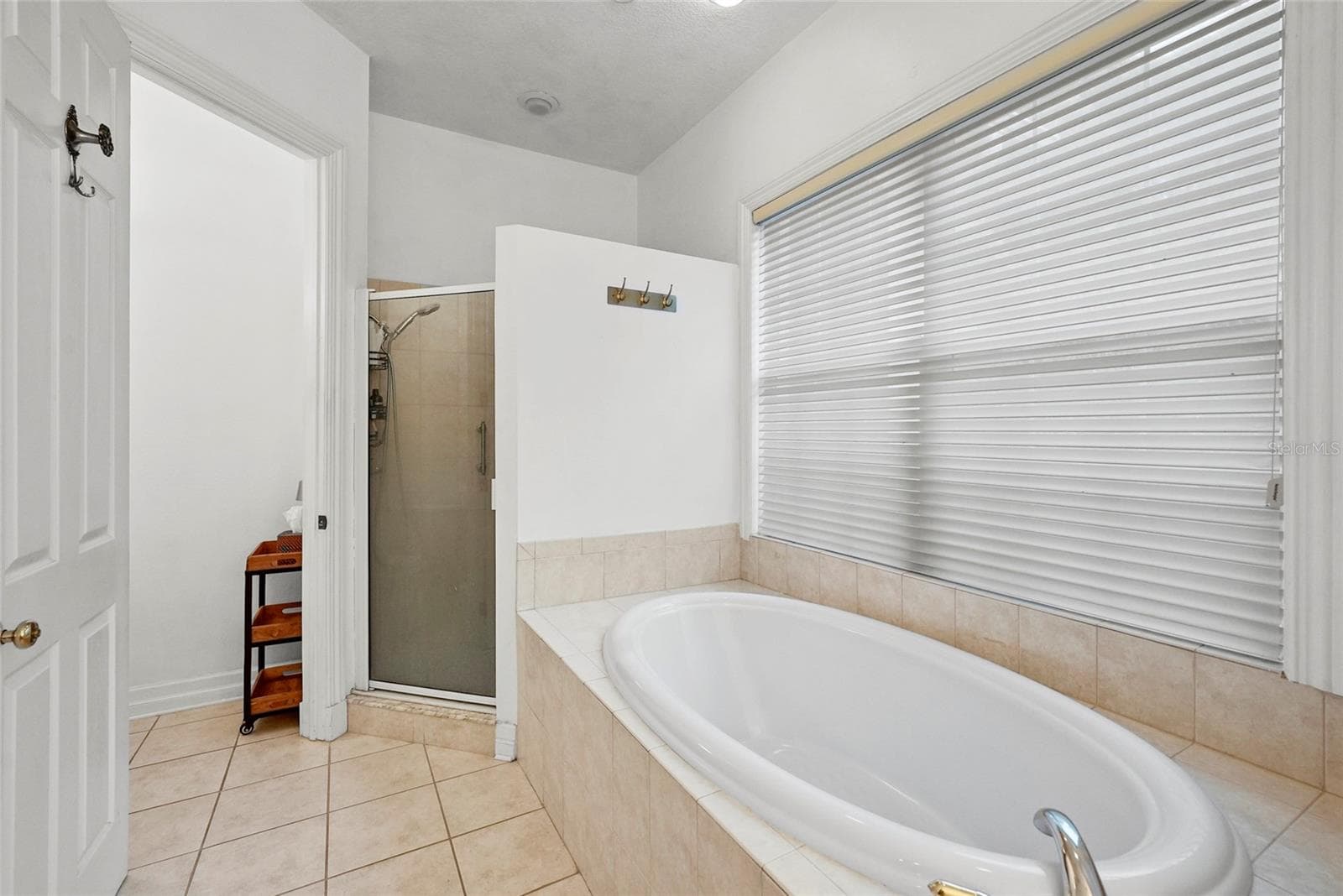 Single Family Residence at 18823 WIMBLEDON CIR, LUTZ, photo 28 of 43