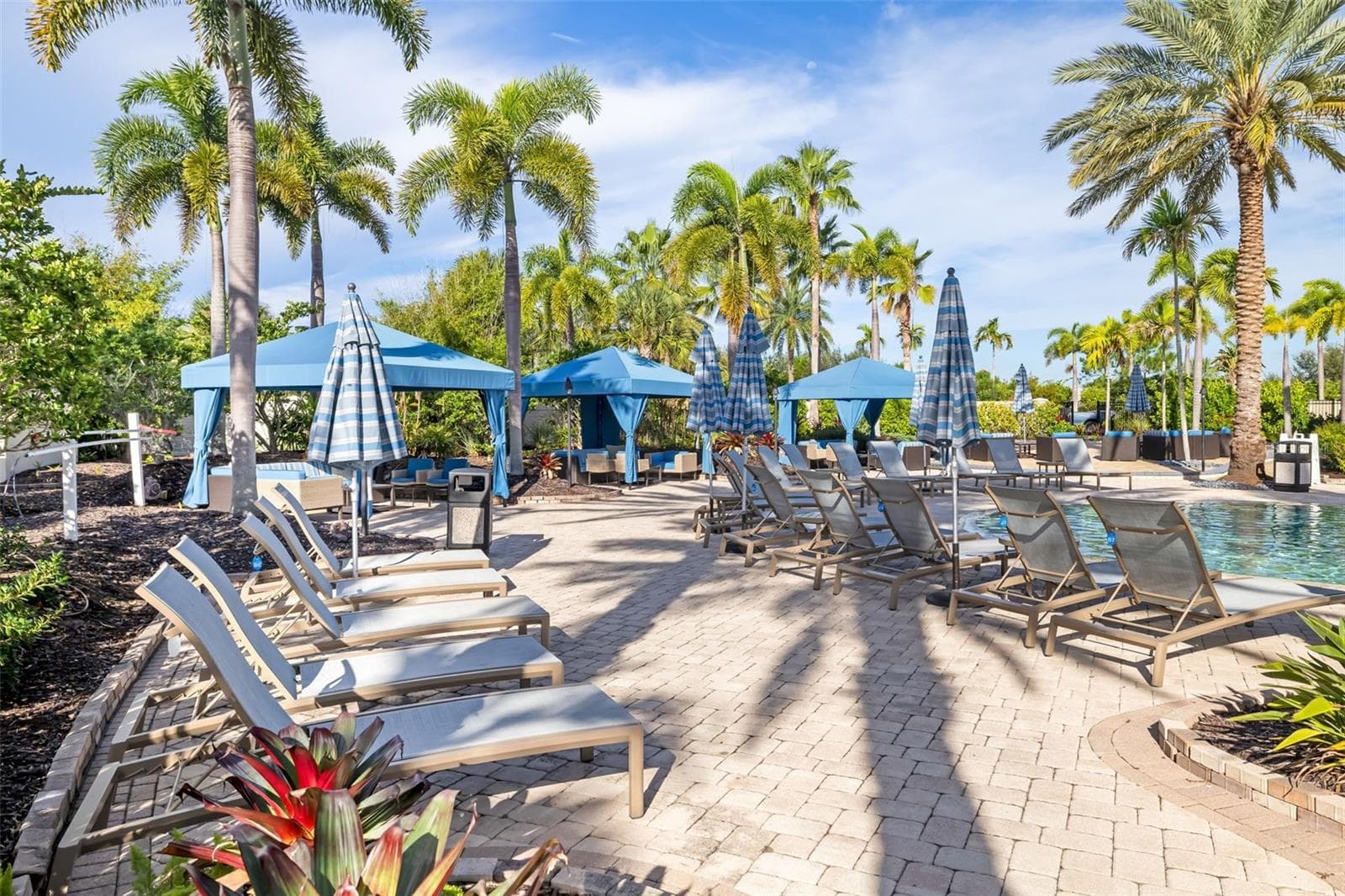 This is the fun place at the Amenity Center - 12807 SORRENTO WAY, BRADENTON