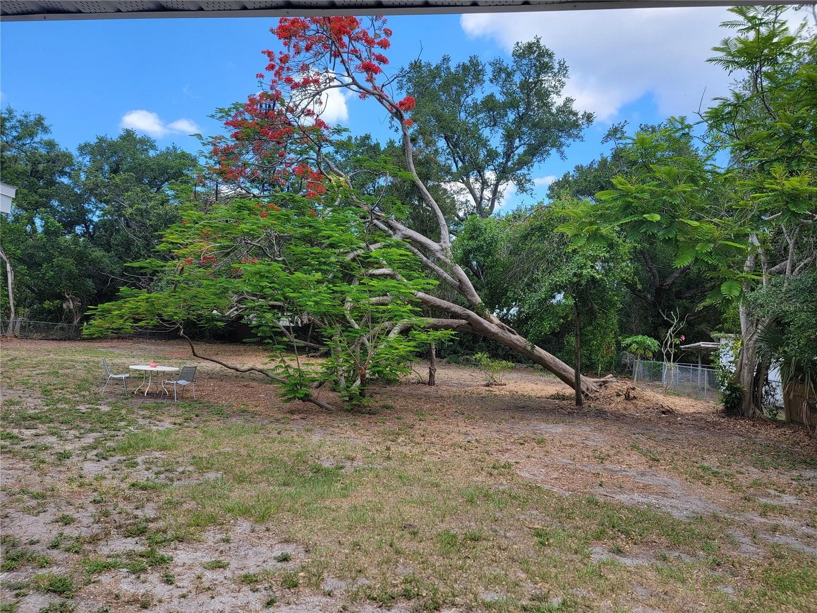 backyard view 2 - 2117 3RD AVE E, BRADENTON