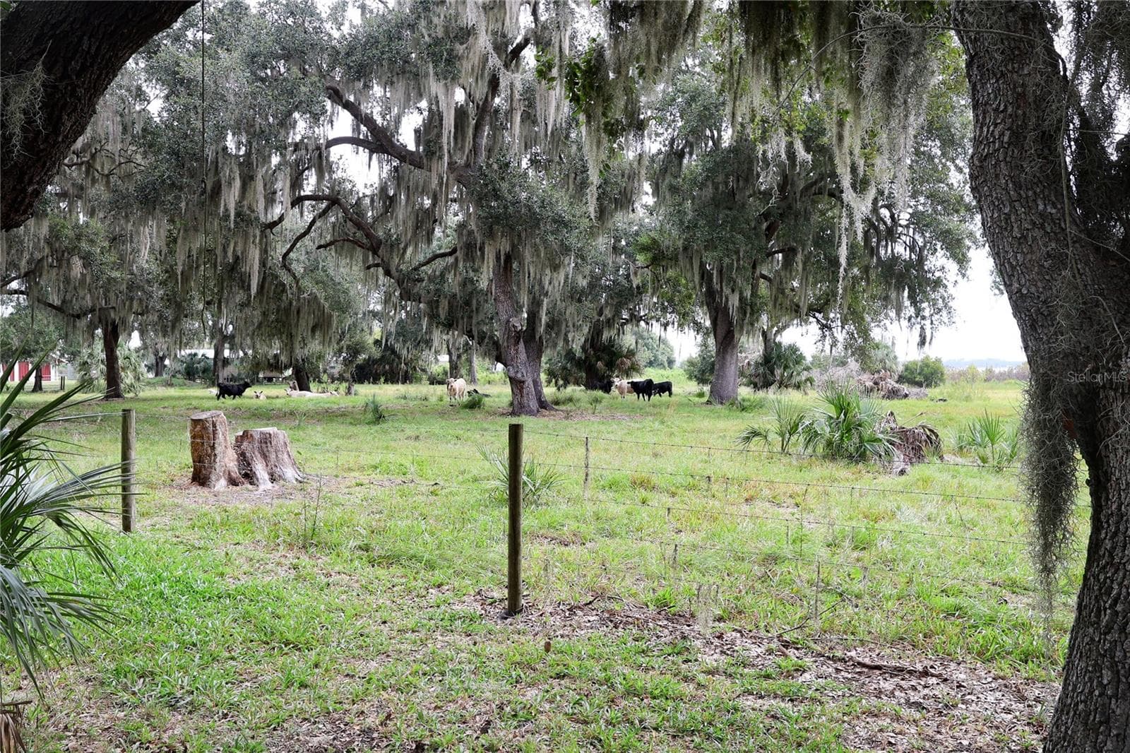 Manufactured Home at 2900 TIGER LAKE RD, LAKE WALES, photo 38 of 47