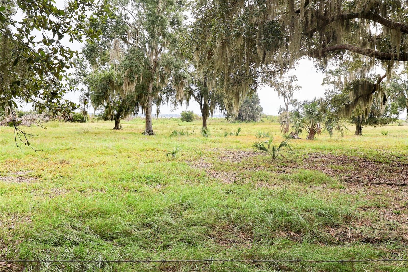 Manufactured Home at 2900 TIGER LAKE RD, LAKE WALES, photo 39 of 47