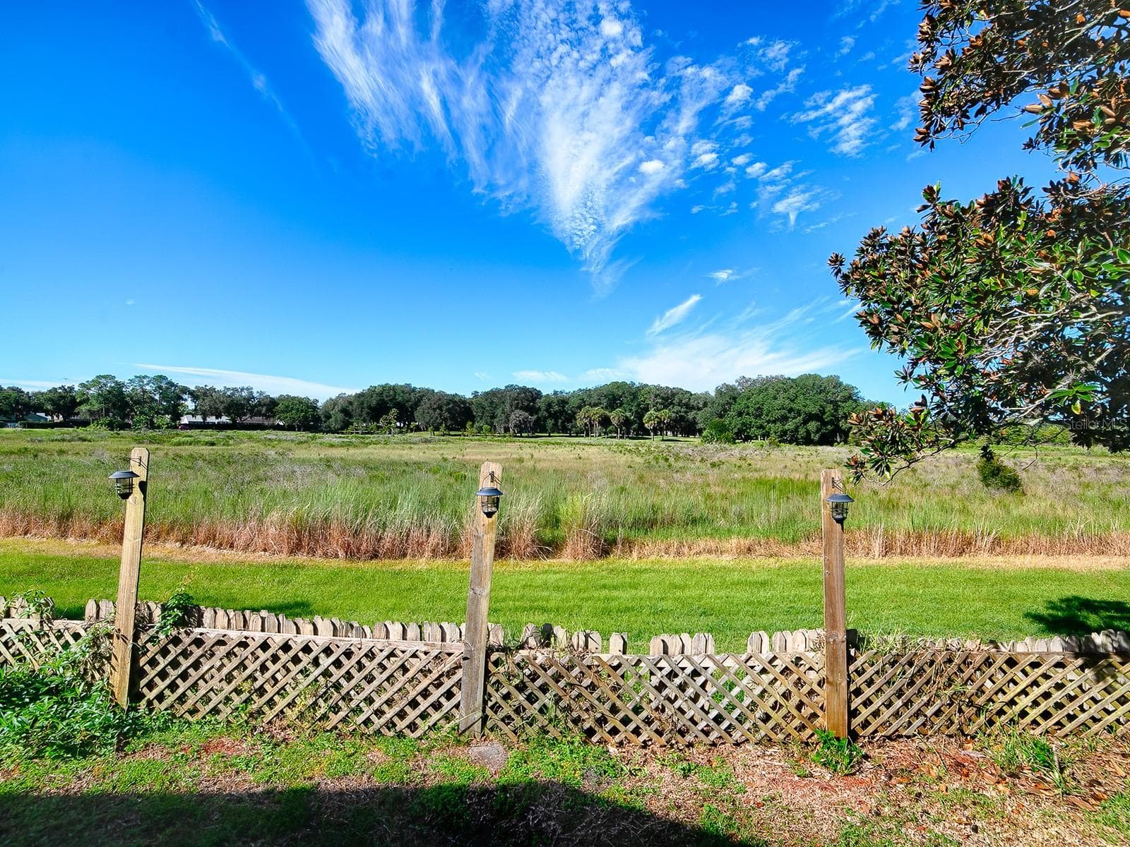 Single Family Residence at 4952 HERON RUN CIR, LEESBURG, photo 36 of 58