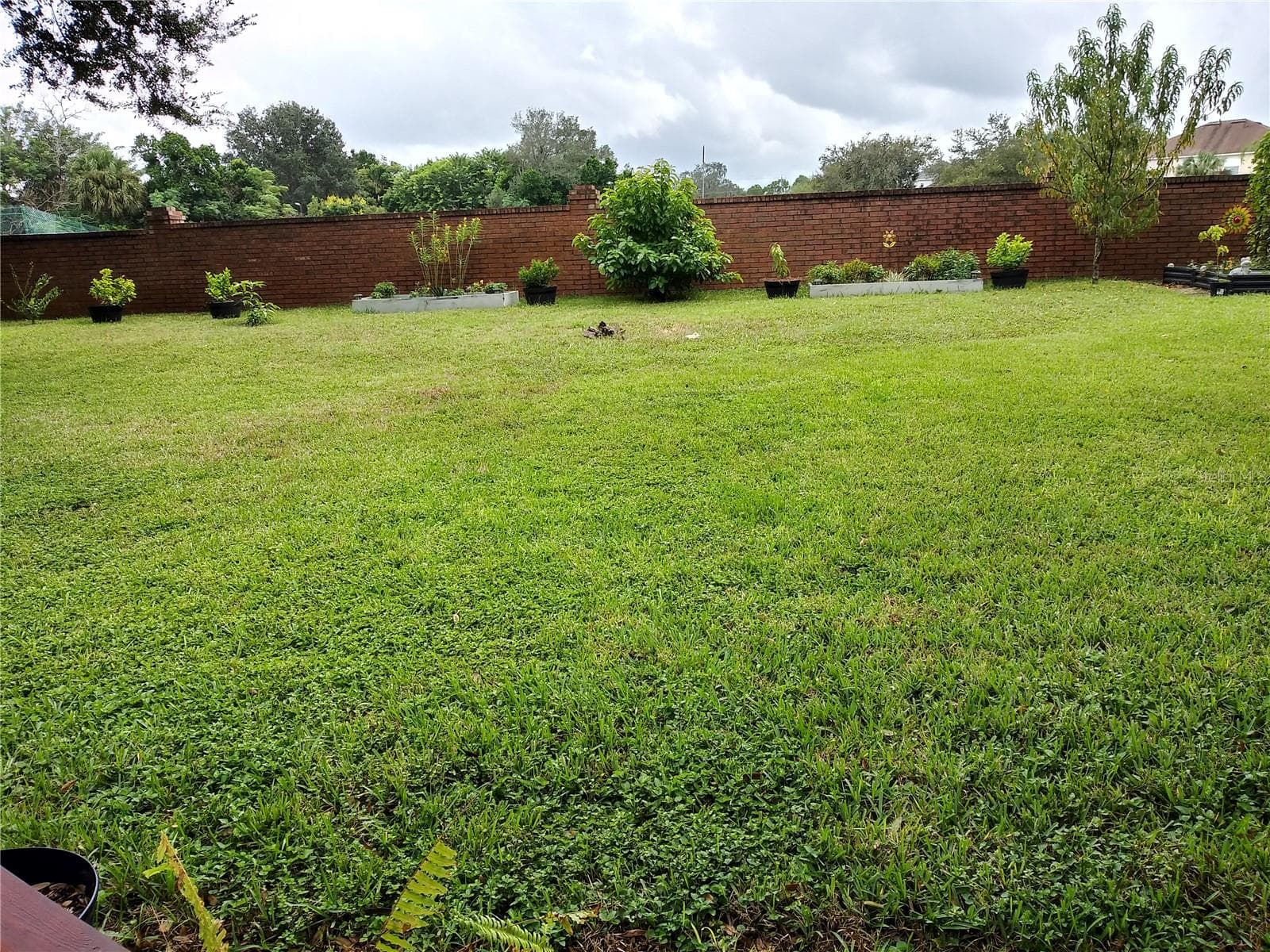 Single Family Residence at 625 RED PEPPER LOOP, CHULUOTA, photo 60 of 82