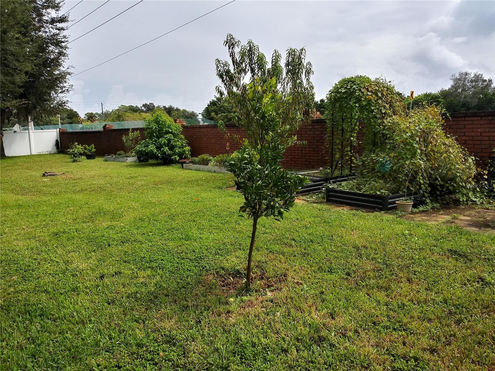 Single Family Residence at 625 RED PEPPER LOOP, CHULUOTA, photo 81 of 82