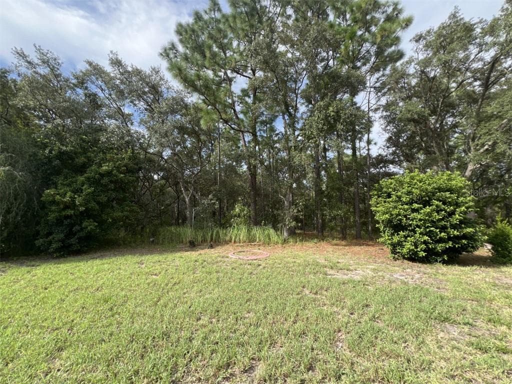 Single Family Residence at 14 Drypetes CT E, HOMOSASSA FL 34446, Homosassa, photo 7 of 17