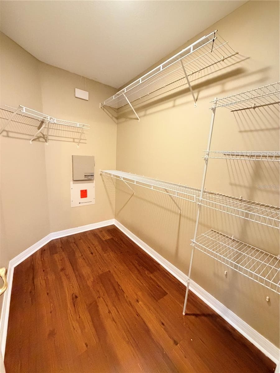 Primary Walk-In Closet - 7516 TOWER BRIDGE DR, WESLEY CHAPEL