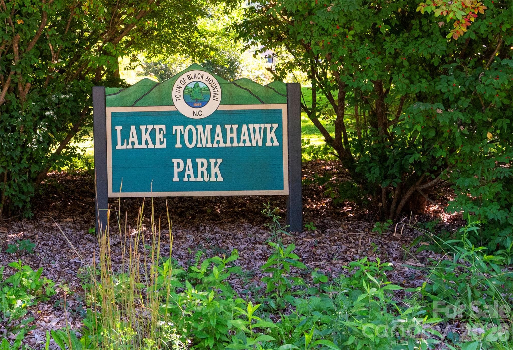 Lake Tomahawk Park - 112 Rhododendron Avenue, Black Mountain