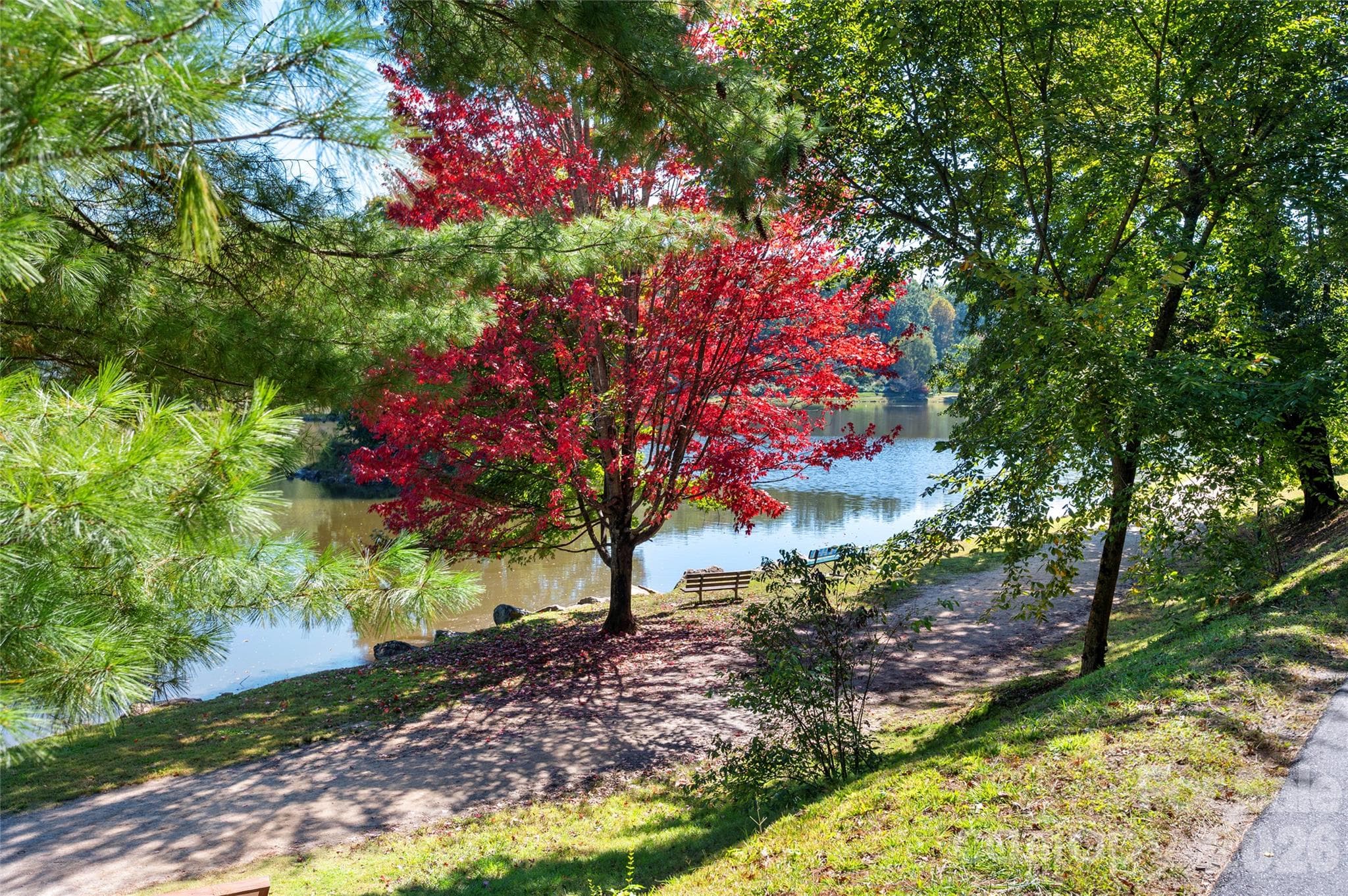 Lake Tomahawk Park walking trail around lake - 112 Rhododendron Avenue, Black Mountain