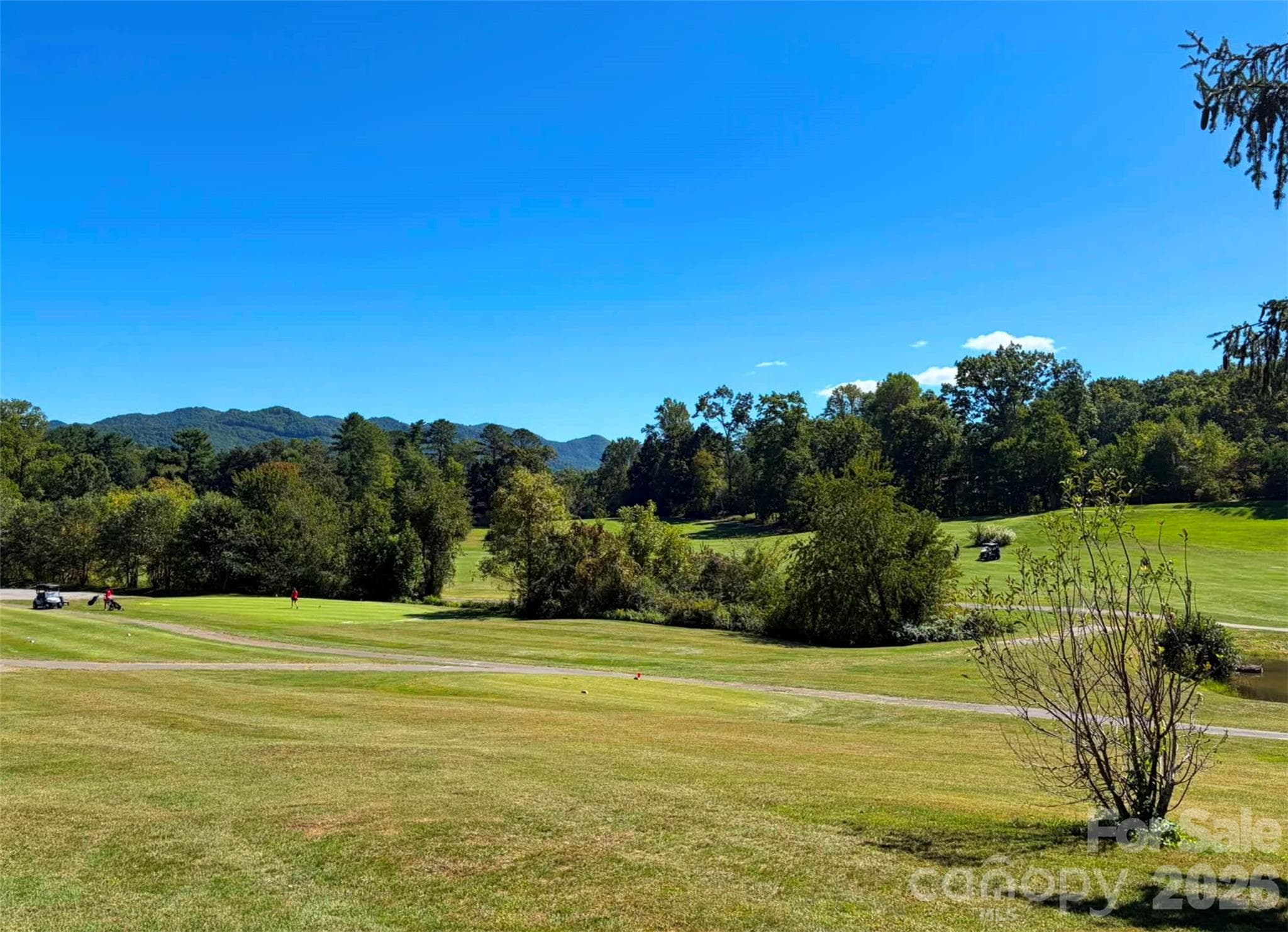 Black Mountain Golf Course just 3 minutes away! - 112 Rhododendron Avenue, Black Mountain