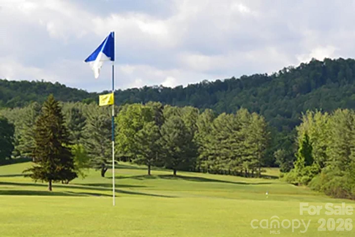 The famous hole #17, a 750 yard par 6! - 112 Rhododendron Avenue, Black Mountain