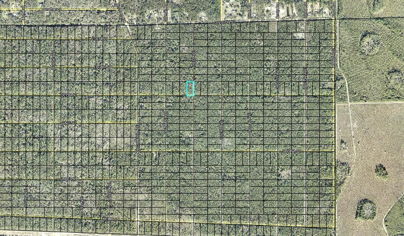Land at 319 TIPPIN ST, HASTINGS, photo 3 of 3