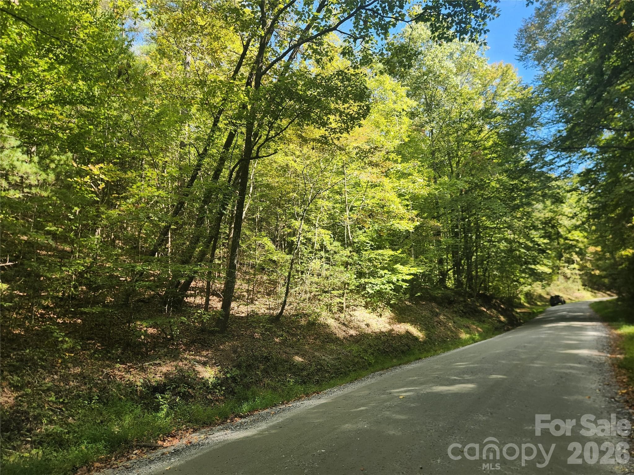 Acreage at Lenoir, photo 6 of 76