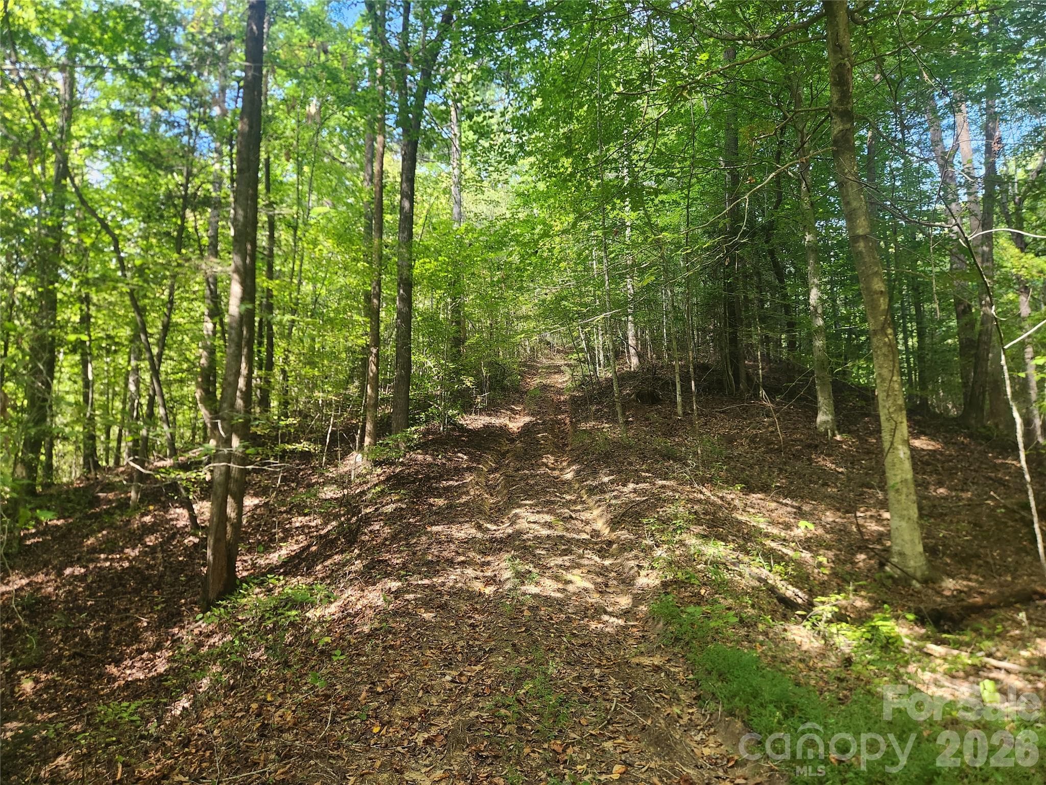 Acreage at Lenoir, photo 8 of 76