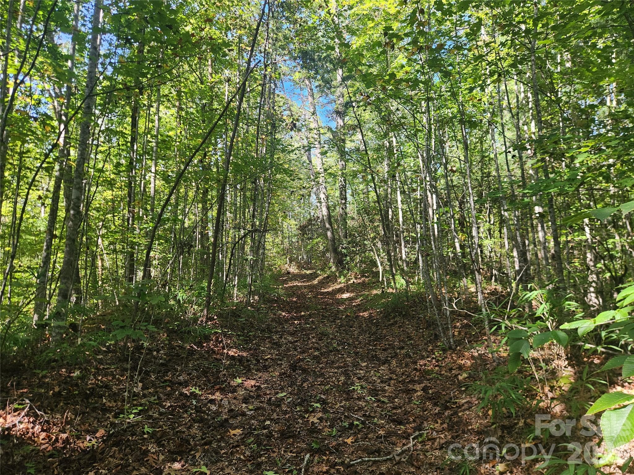 Acreage at Lenoir, photo 10 of 76