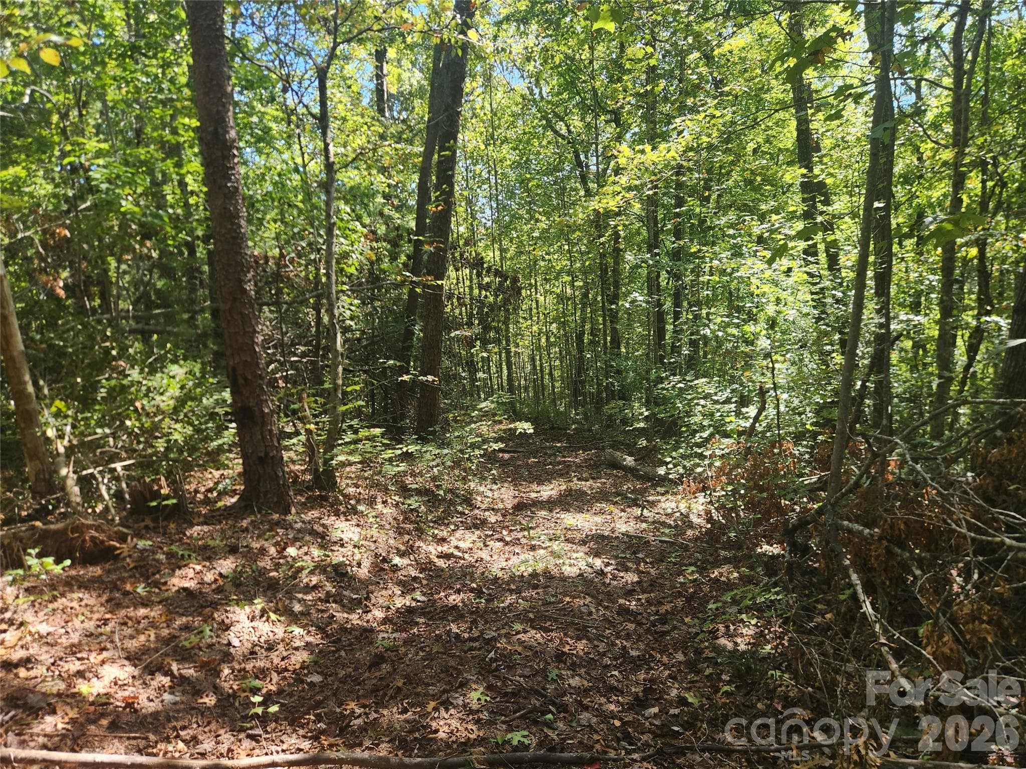 Acreage at Lenoir, photo 12 of 76