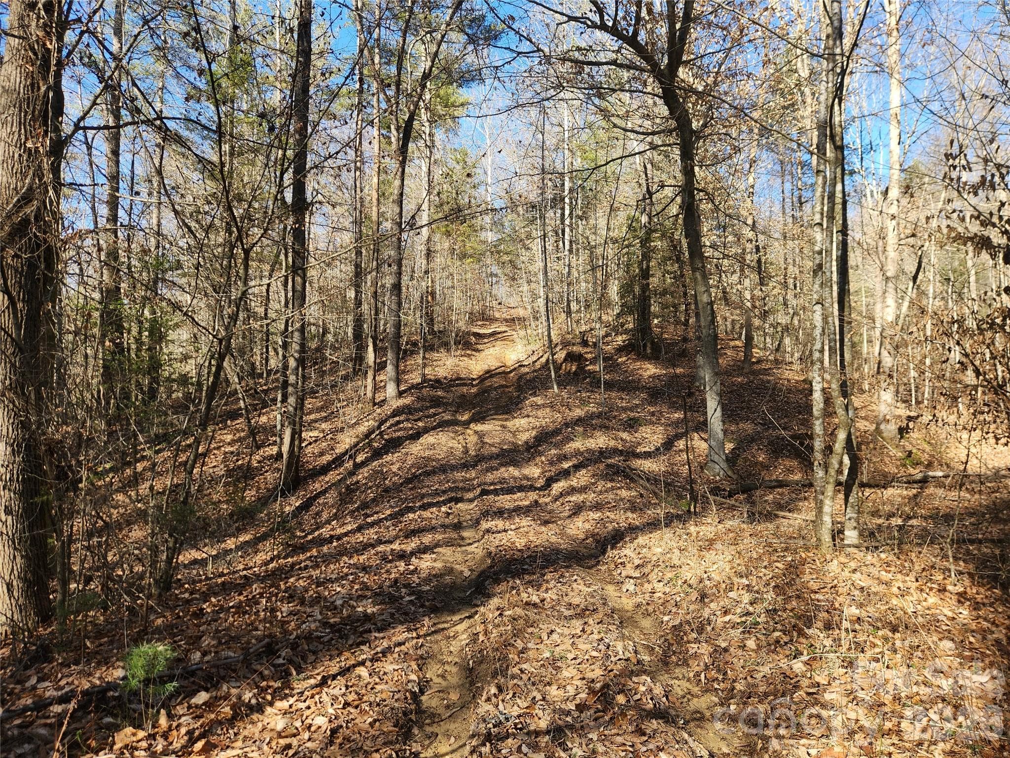 Acreage at Lenoir, photo 14 of 76