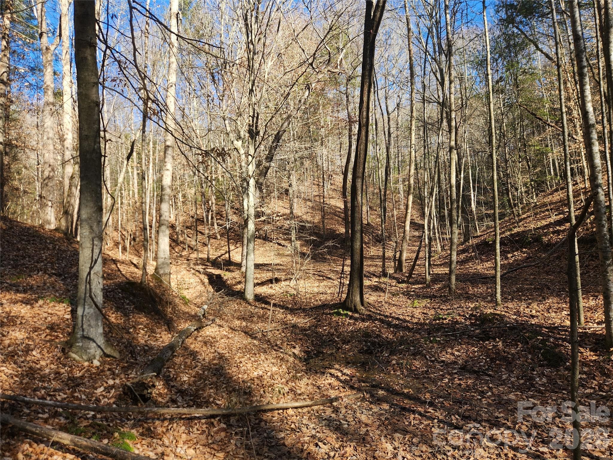 Acreage at Lenoir, photo 16 of 76