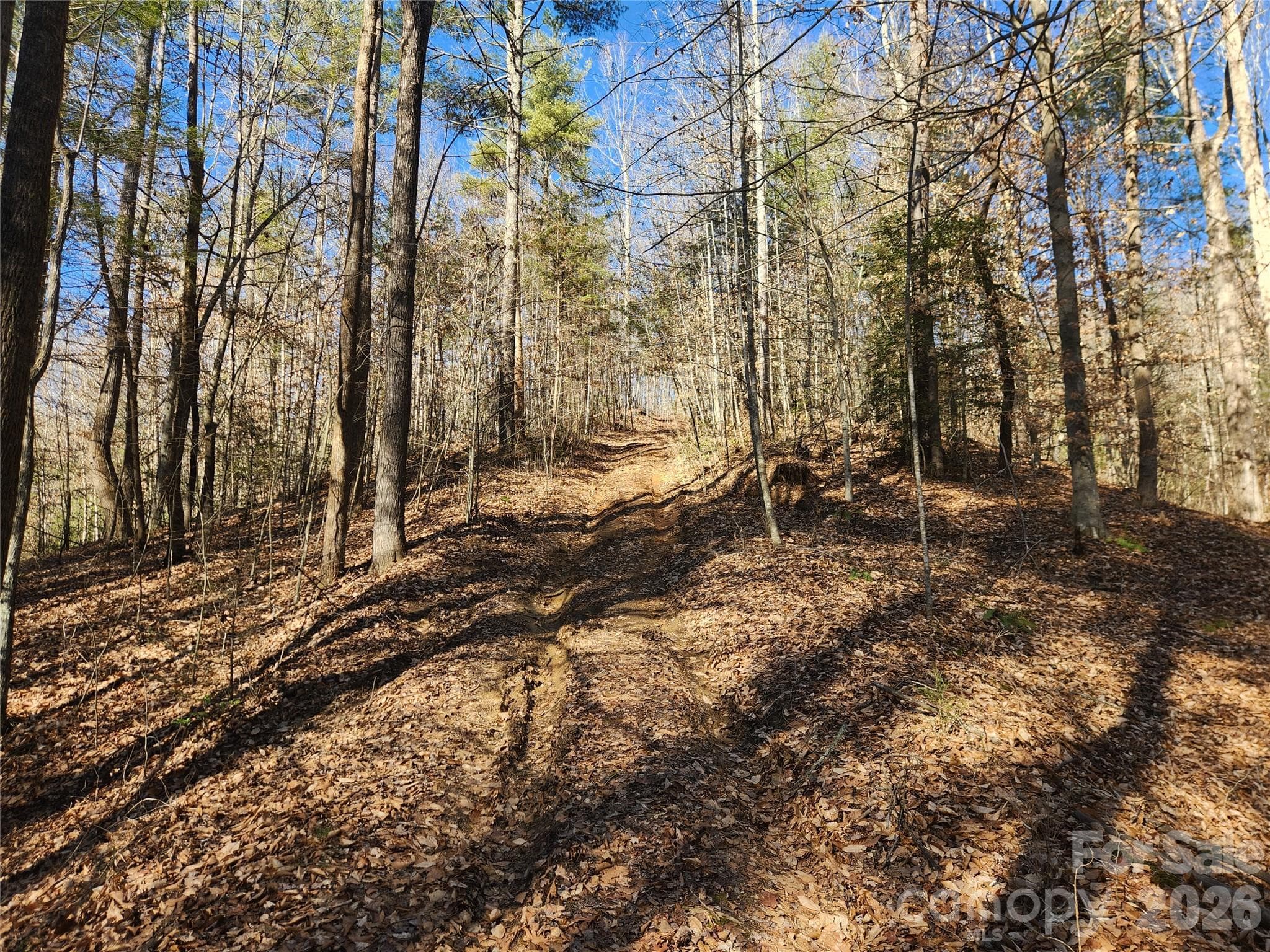 Acreage at 2500 Playmore Beach Road, Lenoir, photo 22 of 38