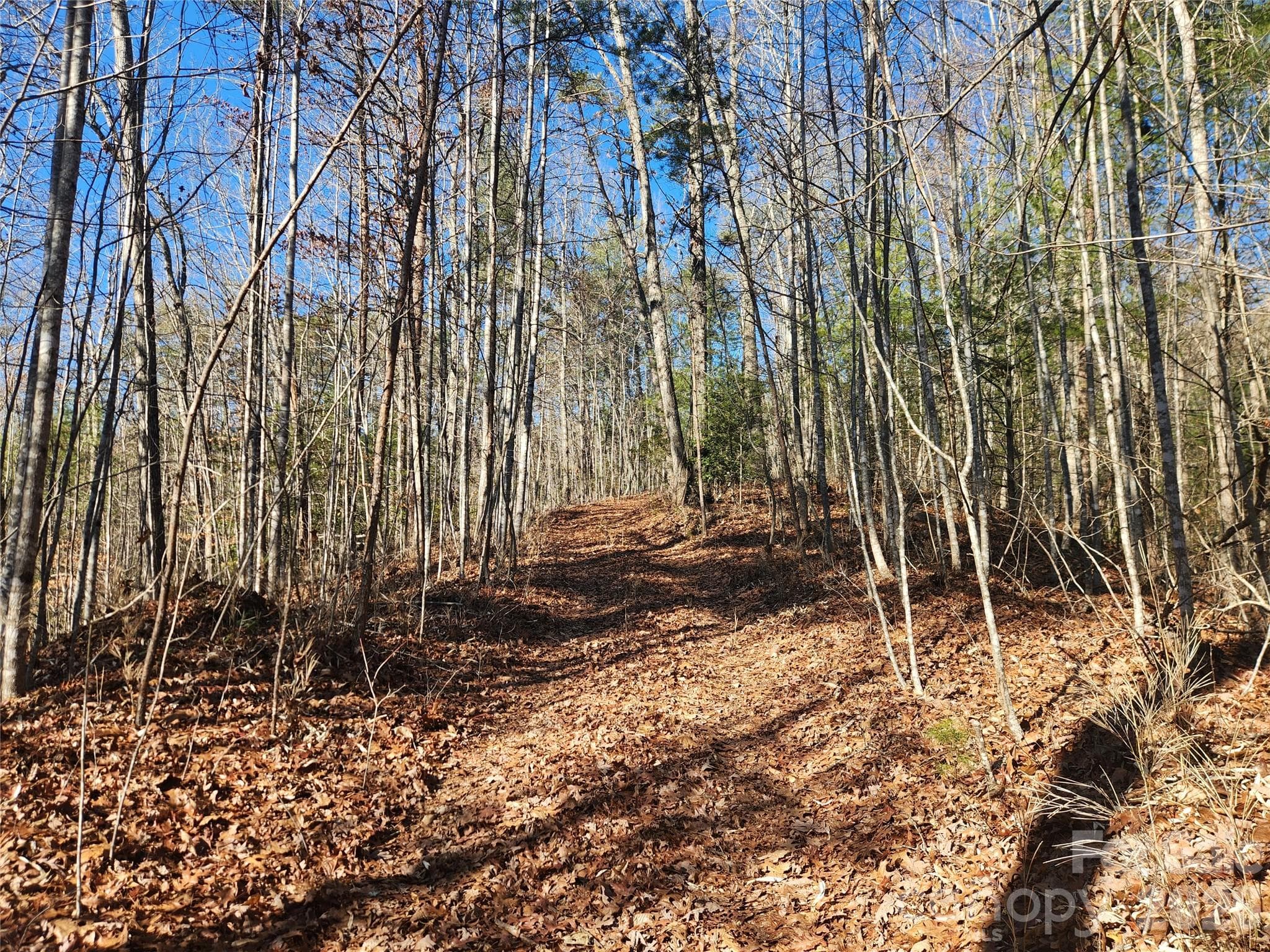 Acreage at 2500 Playmore Beach Road, Lenoir, photo 24 of 38