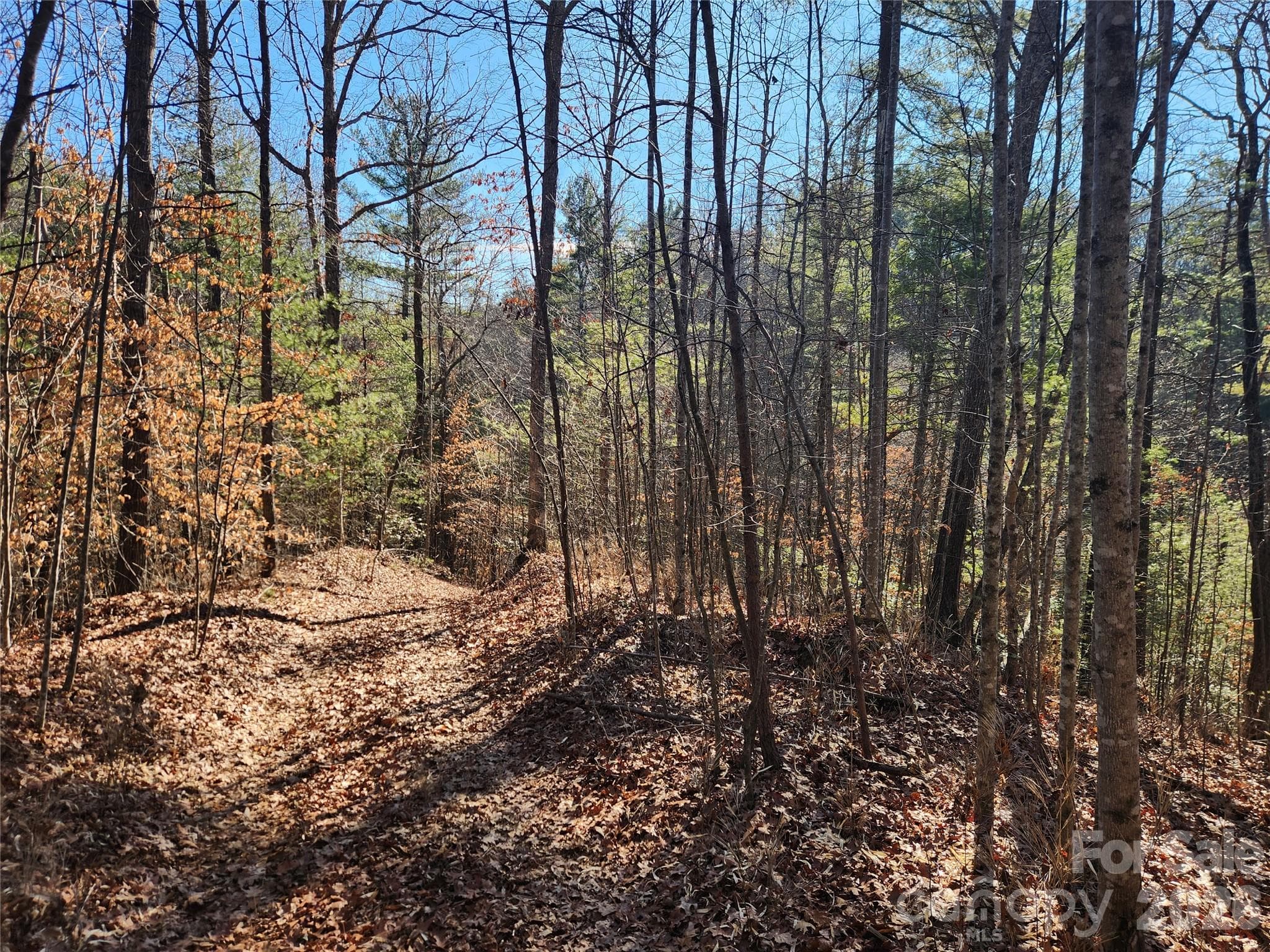 Acreage at 2500 Playmore Beach Road, Lenoir, photo 25 of 38