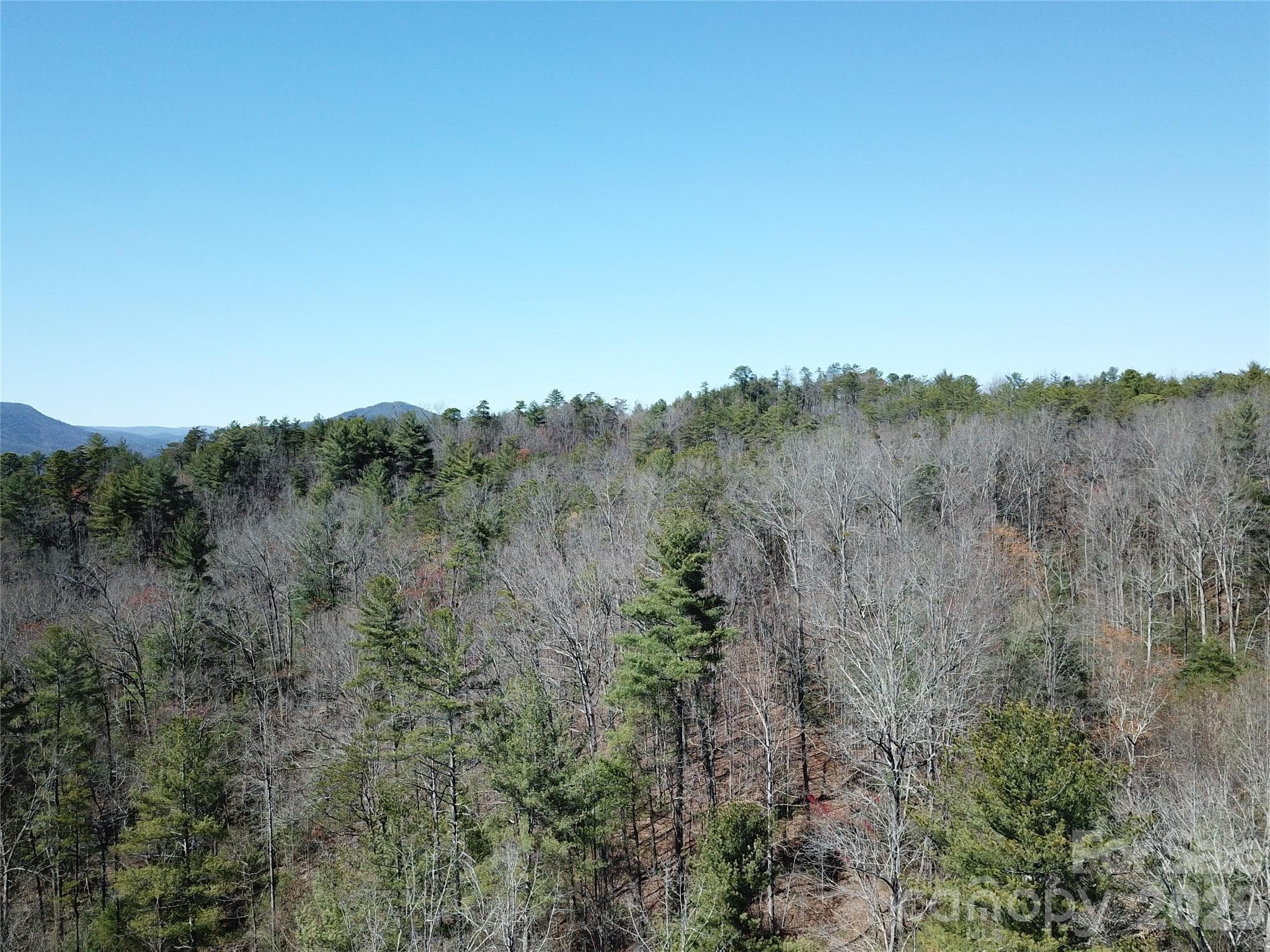 Acreage at 2500 Playmore Beach Road, Lenoir, photo 27 of 38