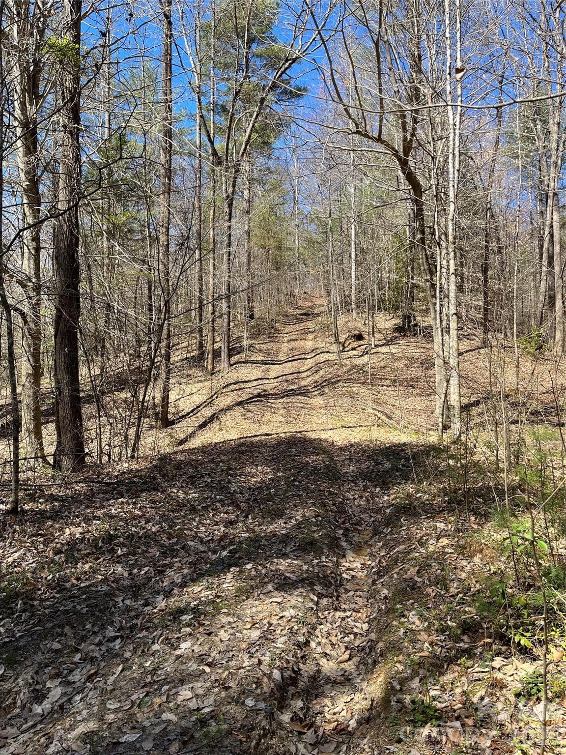 Acreage at 2500 Playmore Beach Road, Lenoir, photo 29 of 38