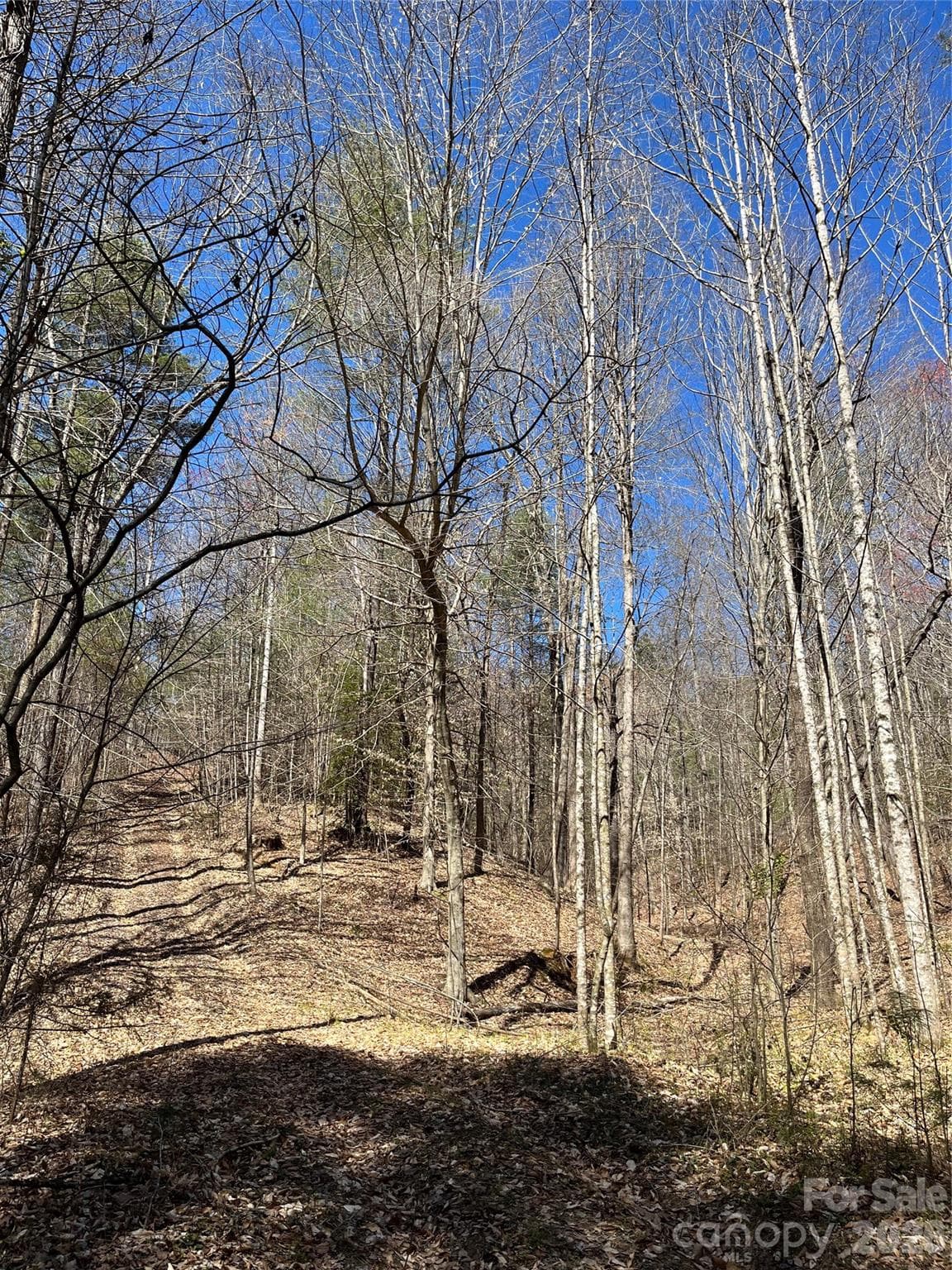 Acreage at 2500 Playmore Beach Road, Lenoir, photo 30 of 38