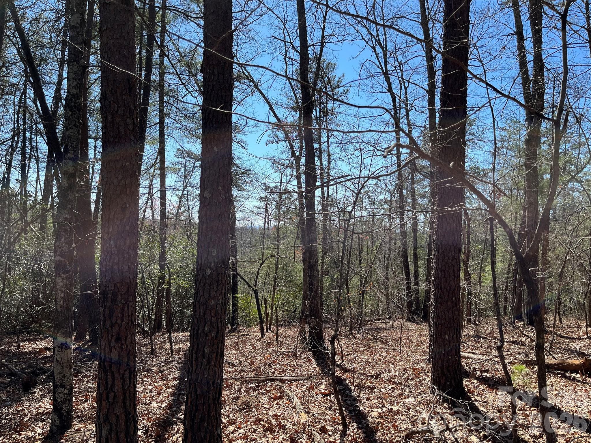 Acreage at 2500 Playmore Beach Road, Lenoir, photo 33 of 38