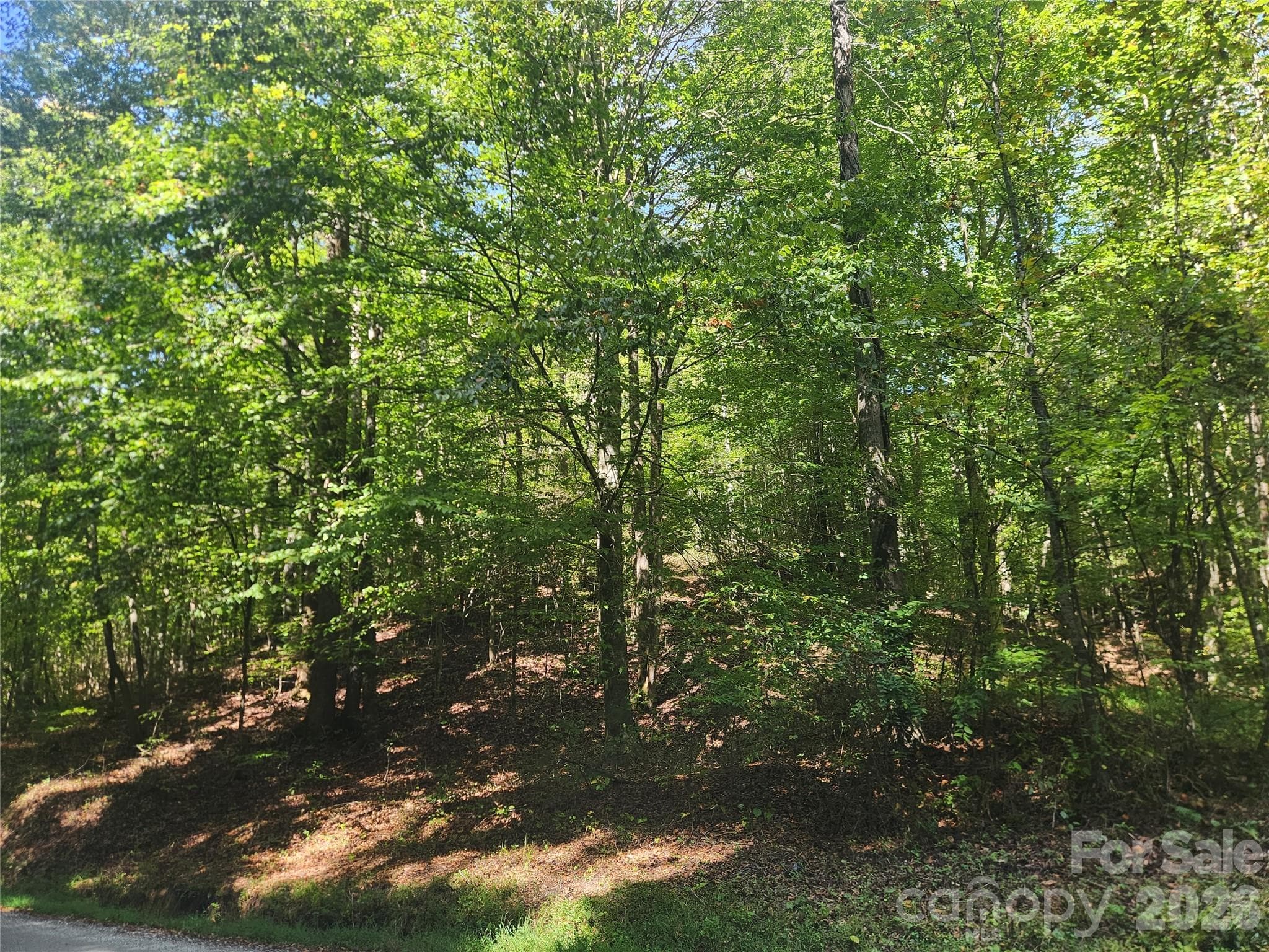 Acreage at 2500 Playmore Beach Road, Lenoir, photo 36 of 38