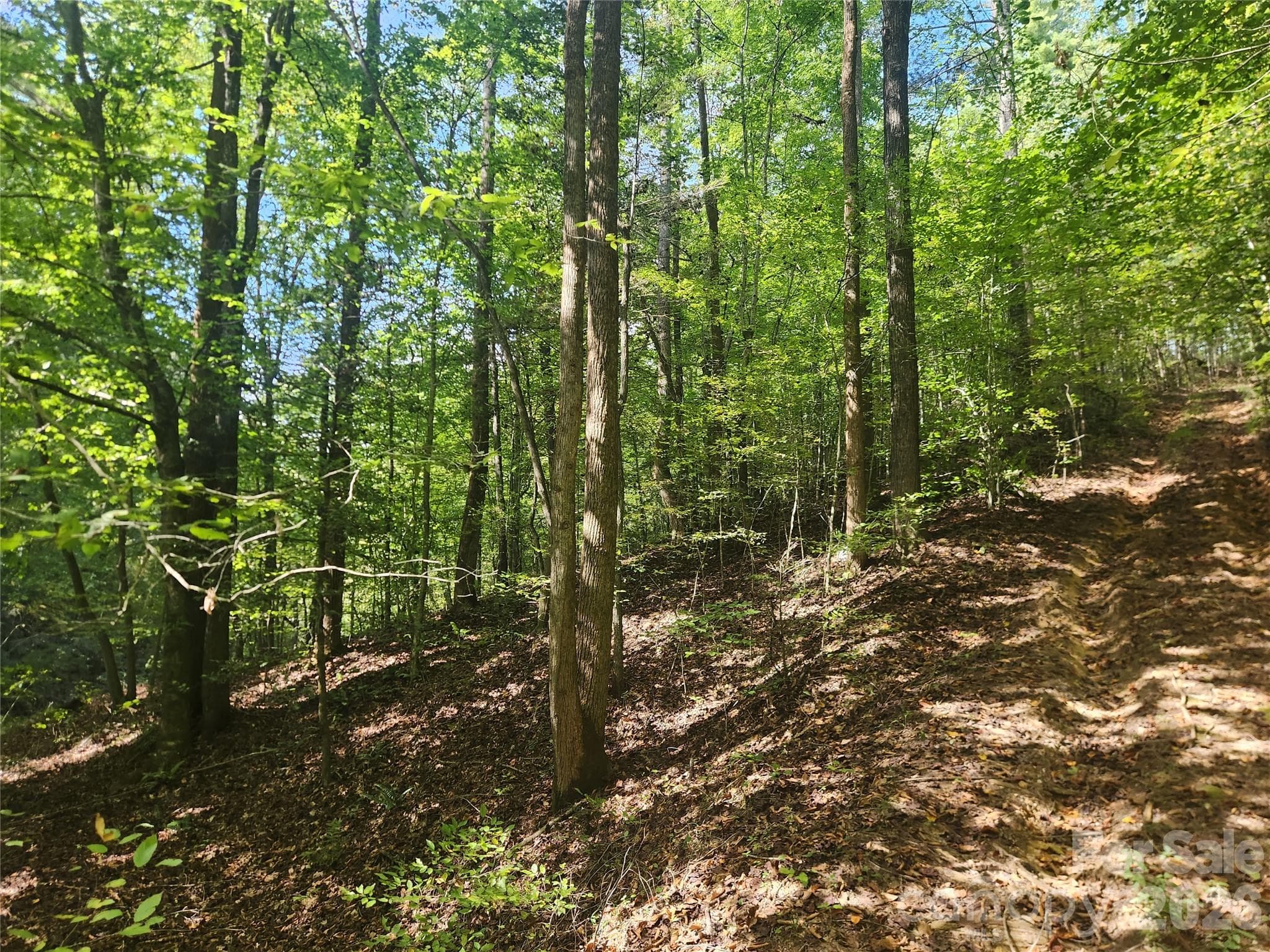 Acreage at 2500 Playmore Beach Road, Lenoir, photo 38 of 38